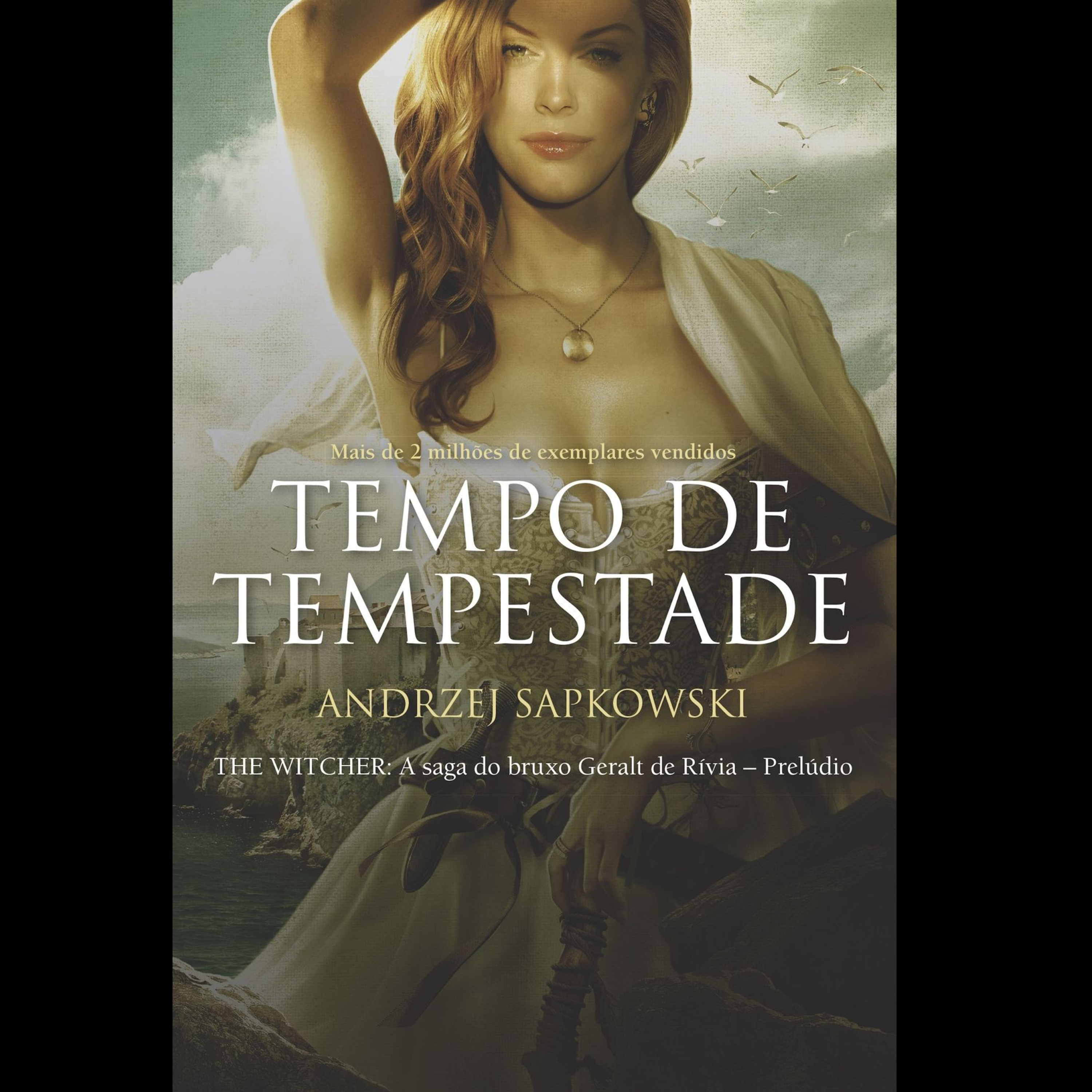 The Witcher Livro 9 Tempo de Tempestade Interlúdio Parte 2 episode artwork