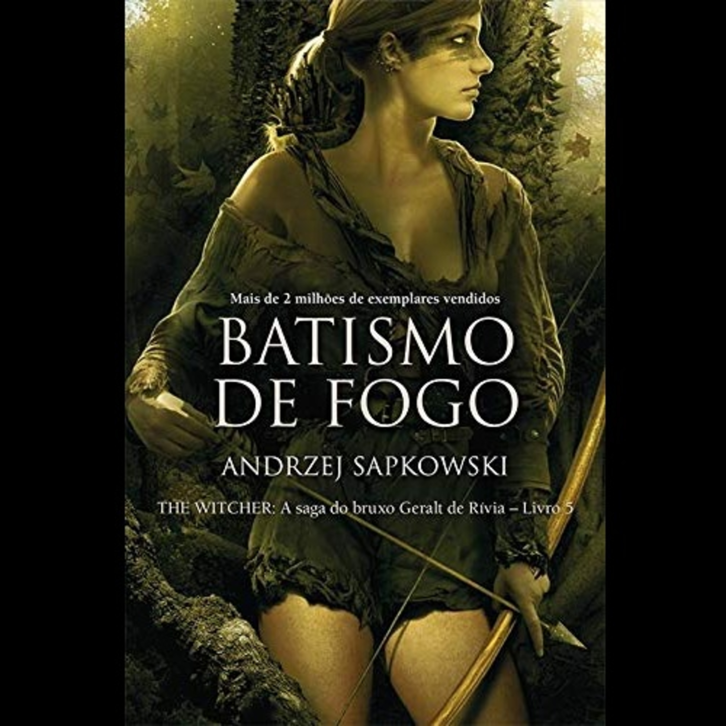 The Witcher Livro 5 O Batismo de Fogo Parte 1 episode artwork