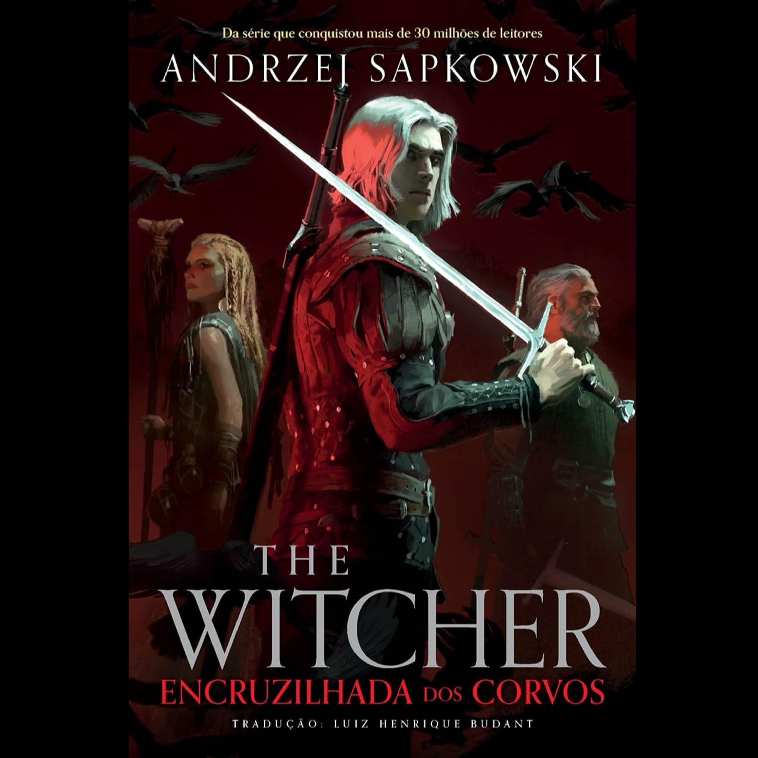 The Witcher Encruzilhada dos Corvos Completo episode artwork