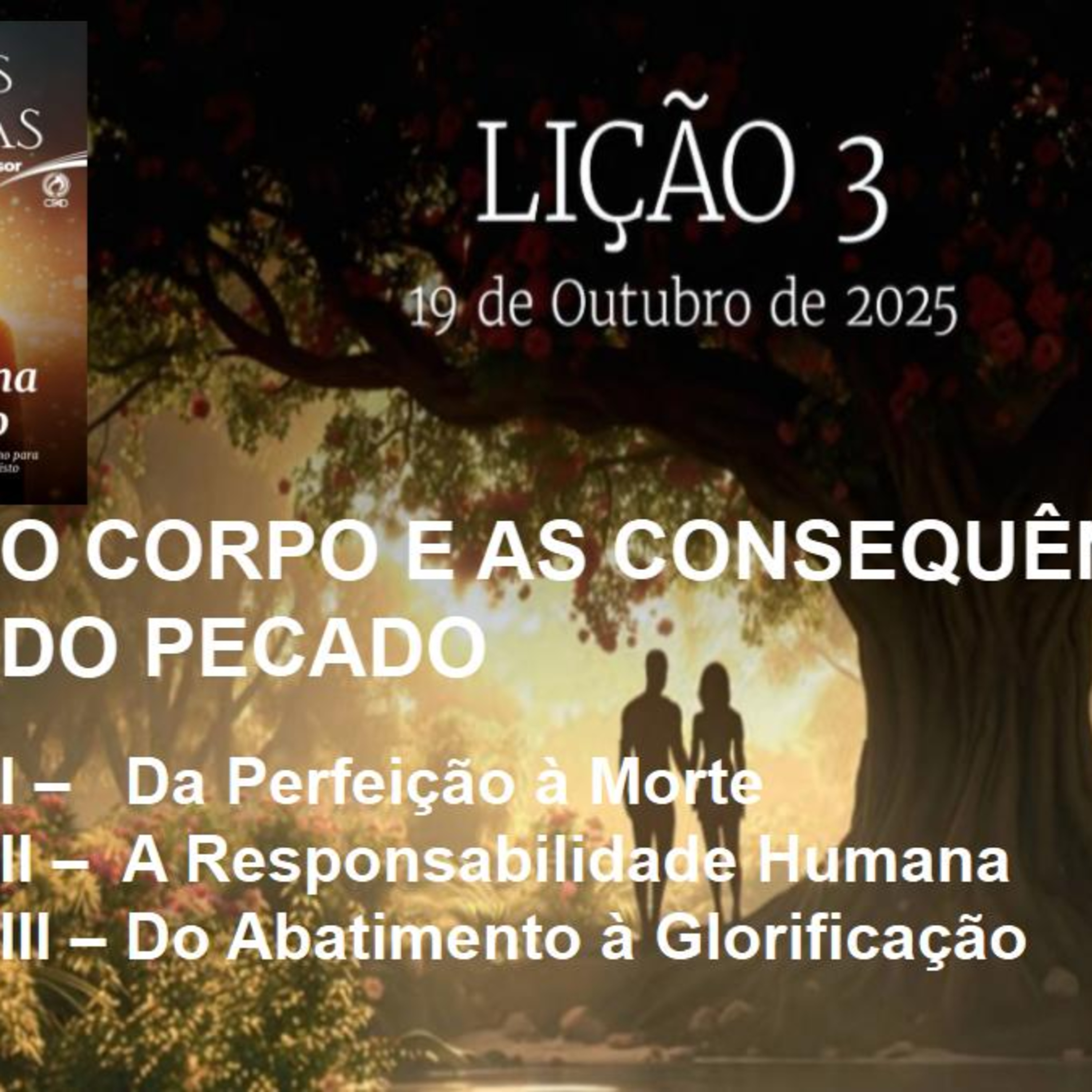 O Corpo e as Consequências do Pecado - Lição 03 4º Trim. 2025 EBD CPAD - Evangelista Fernando Rodrigues - https://youtu.be/q-AZmGa9l7Q