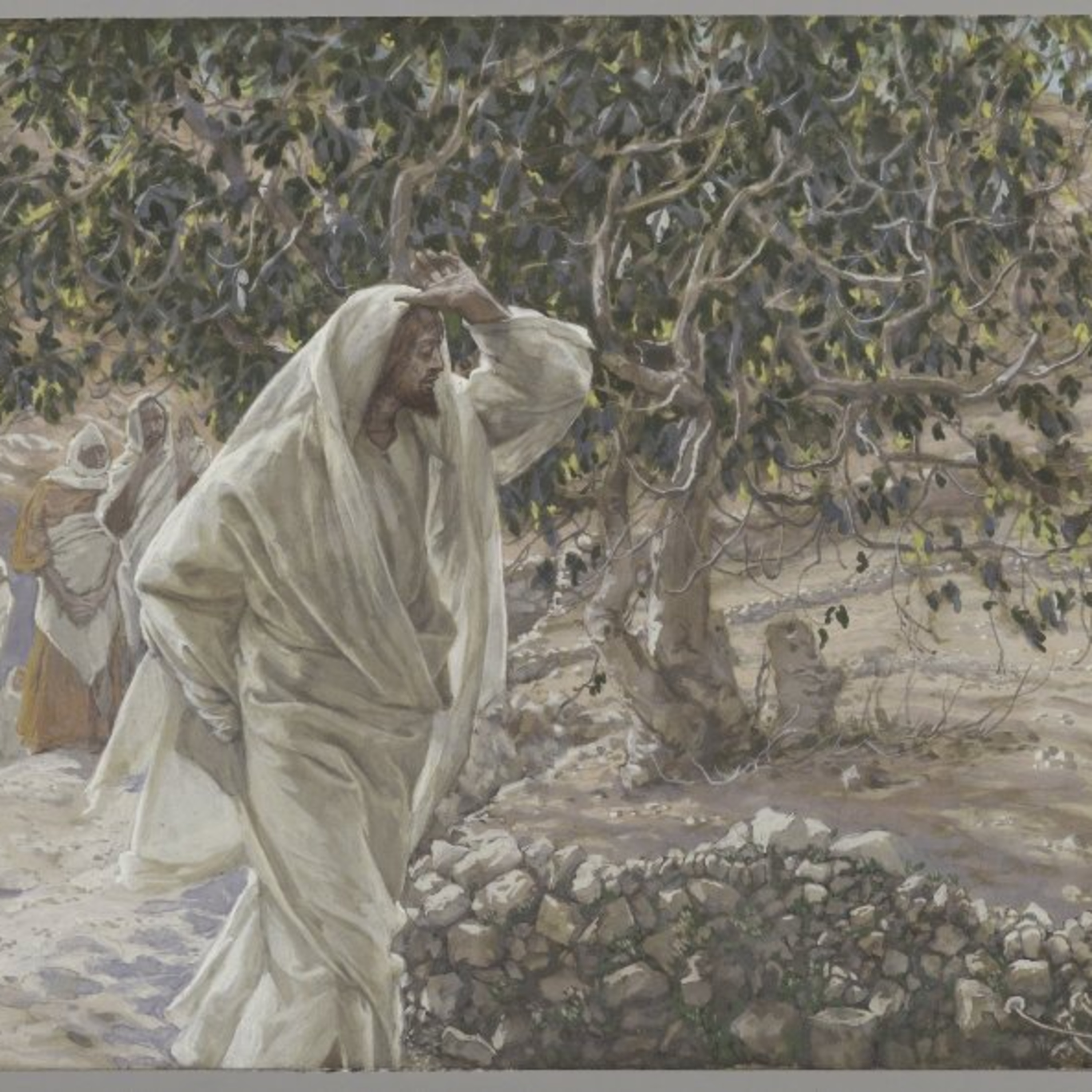 פרק 198 על ניסים ועל עץ התאנה המקולל