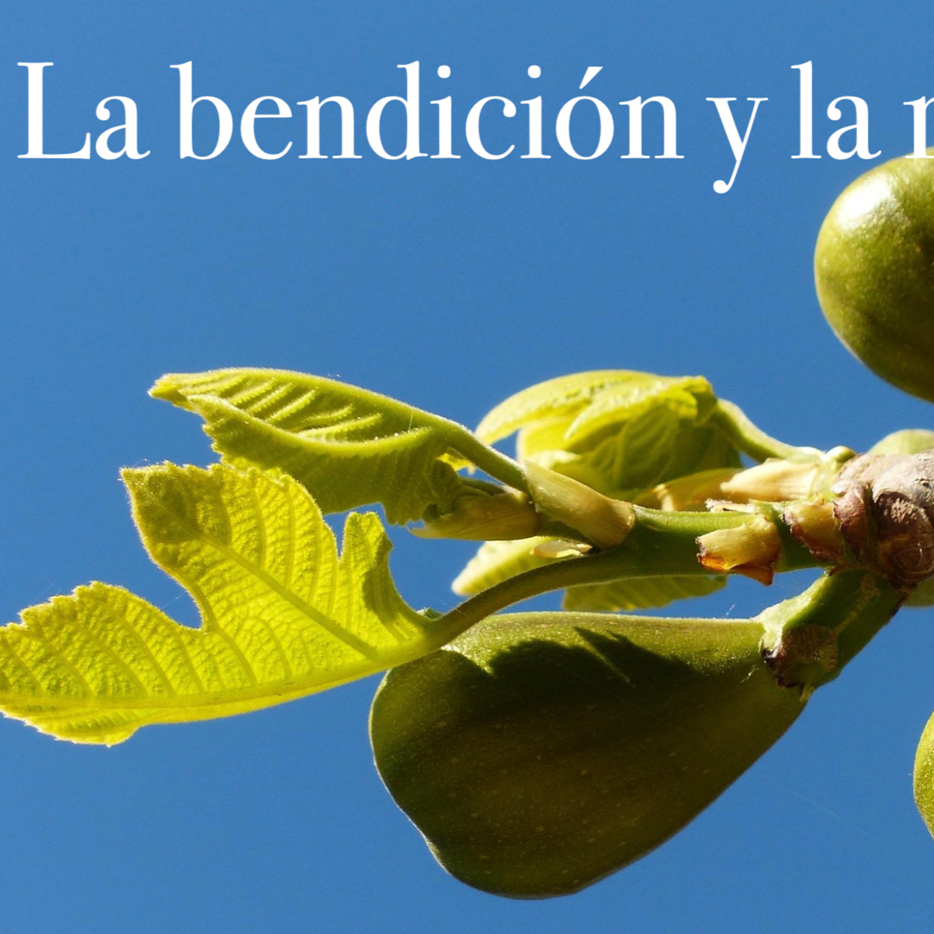08 - 59 La bendición y la maldición episode artwork