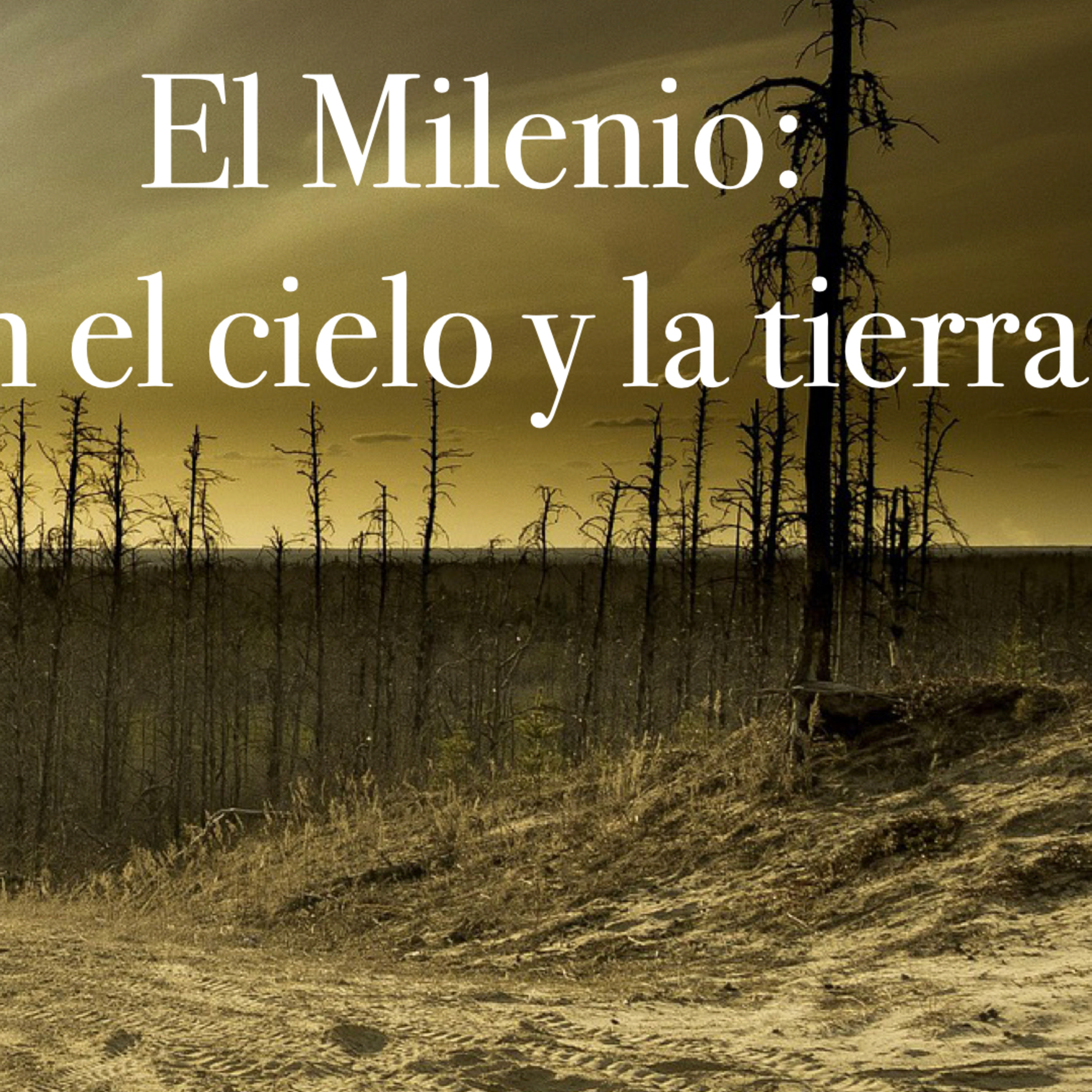 08 - 62 El milenio en el cielo y la tierra - Parte II episode artwork