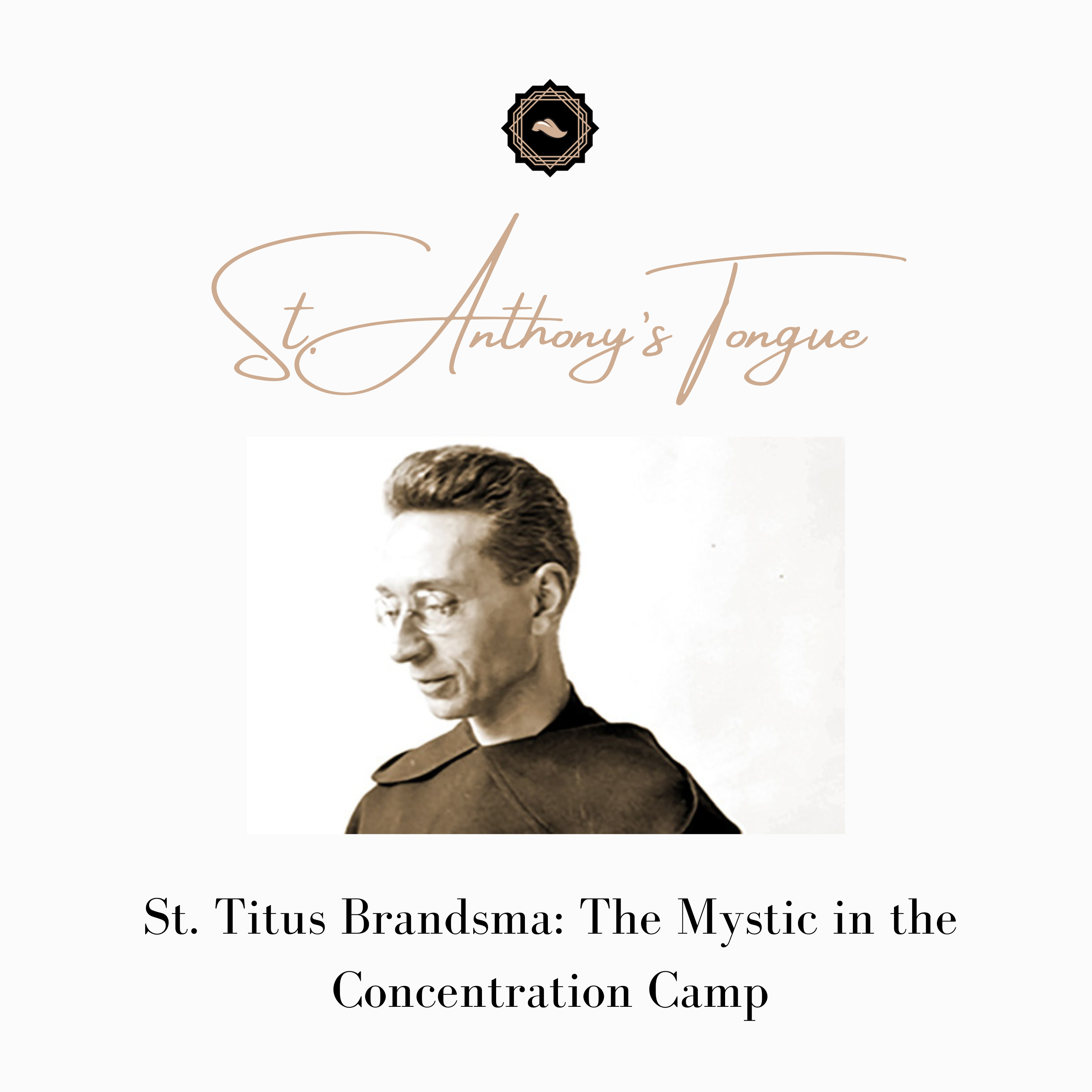 St. Titus Brandsma: The Mystic in the Concentration Camp episode artwork