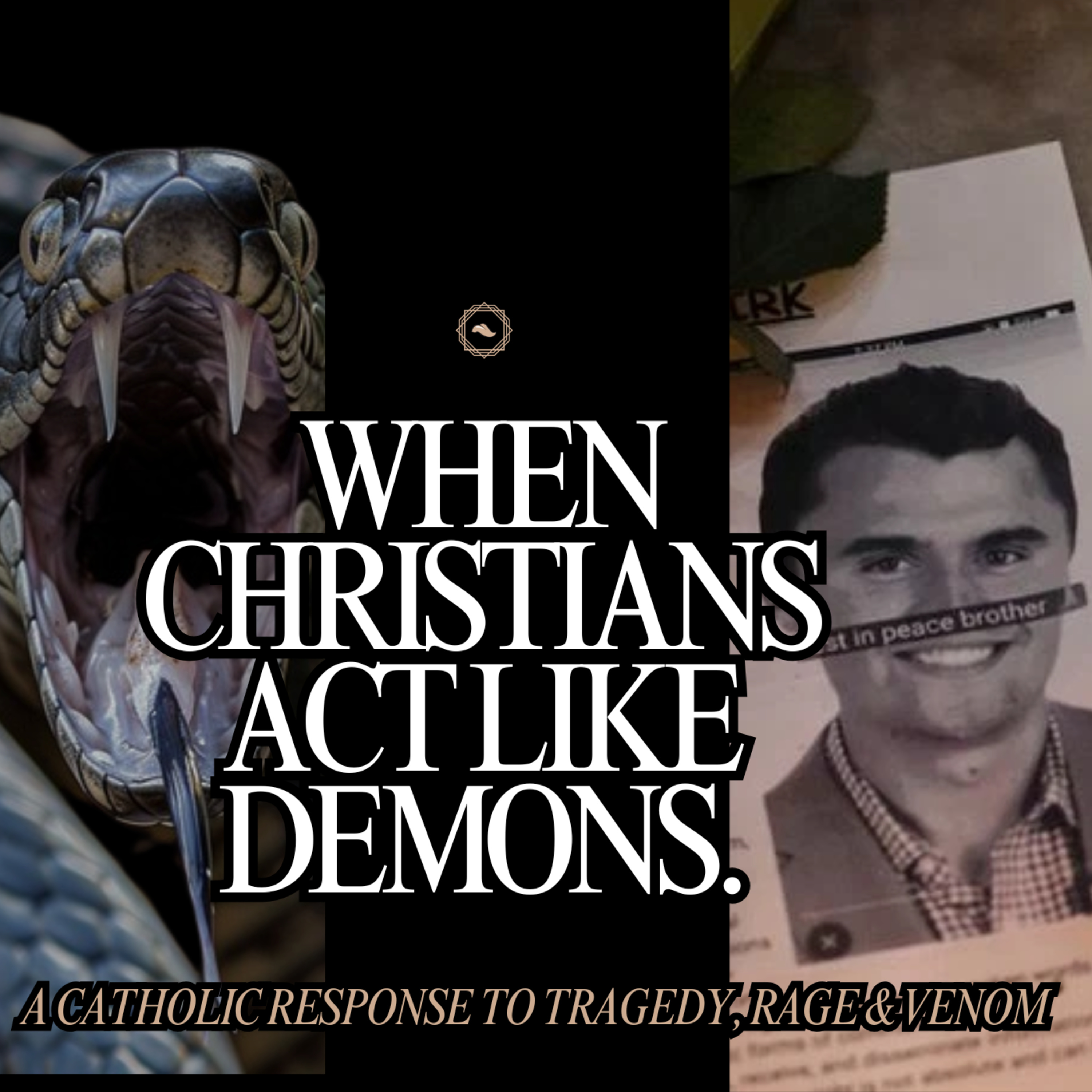 When Christians Look Like Demons: A Catholic Response to Rage & Venom episode artwork