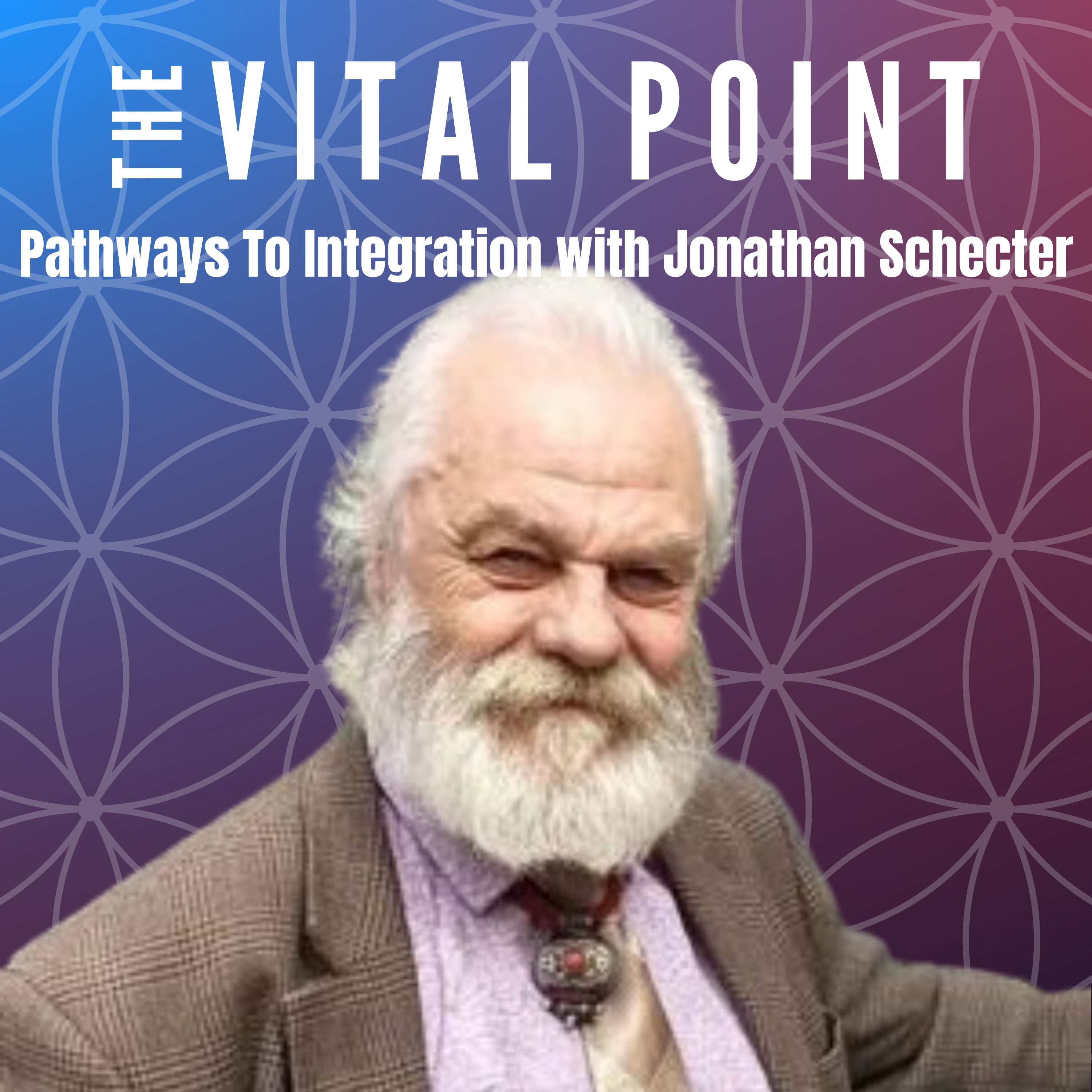 The Vital Point: Pathways To Integration