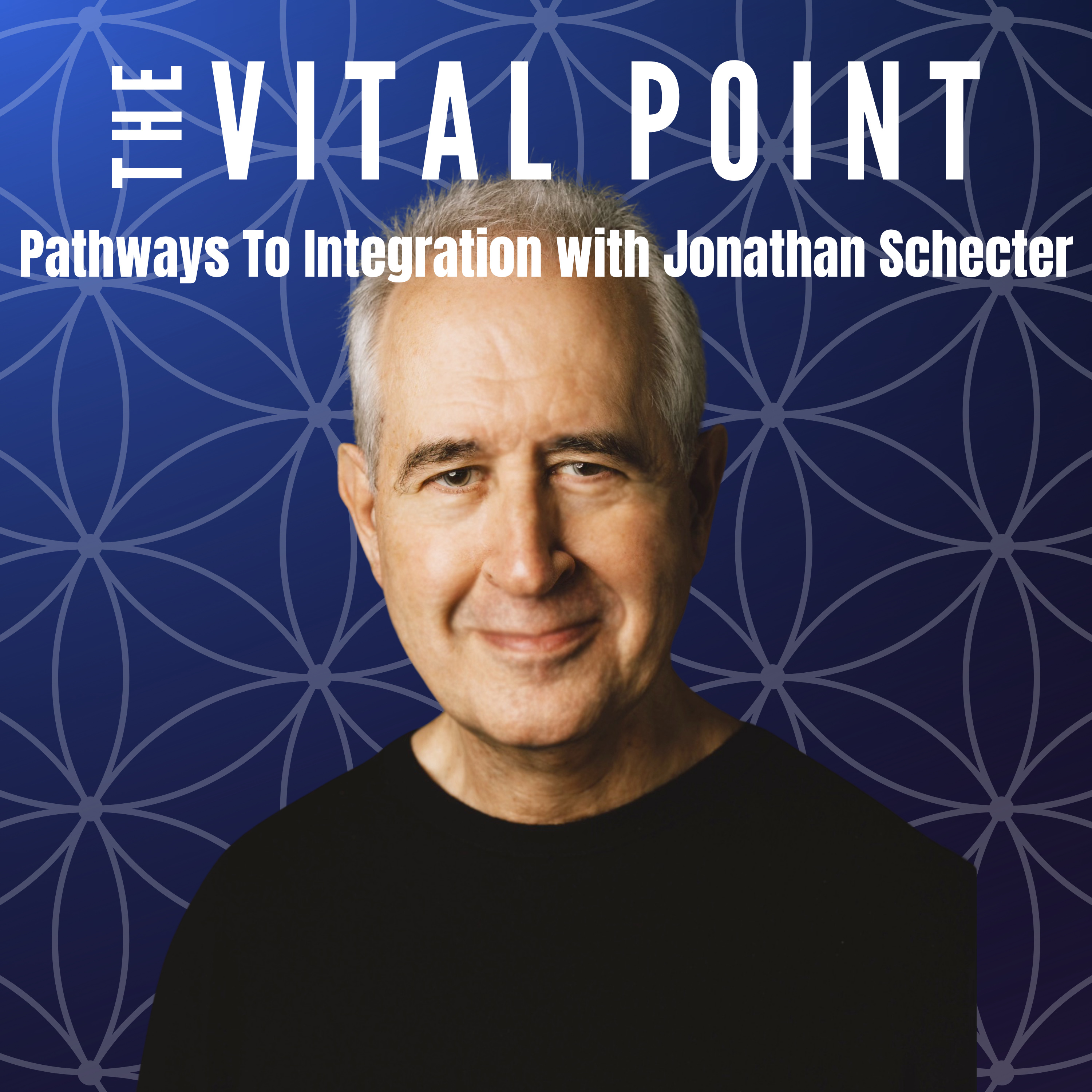 The Vital Point: Pathways To Integration