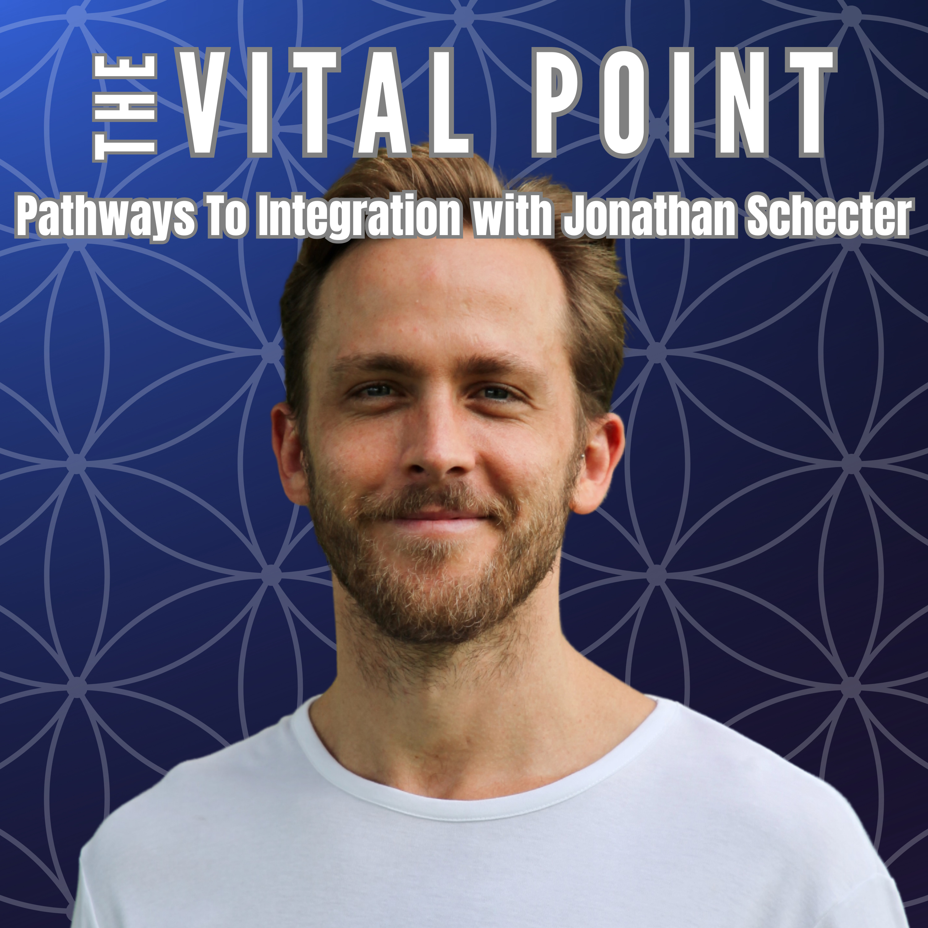 The Vital Point: Pathways To Integration
