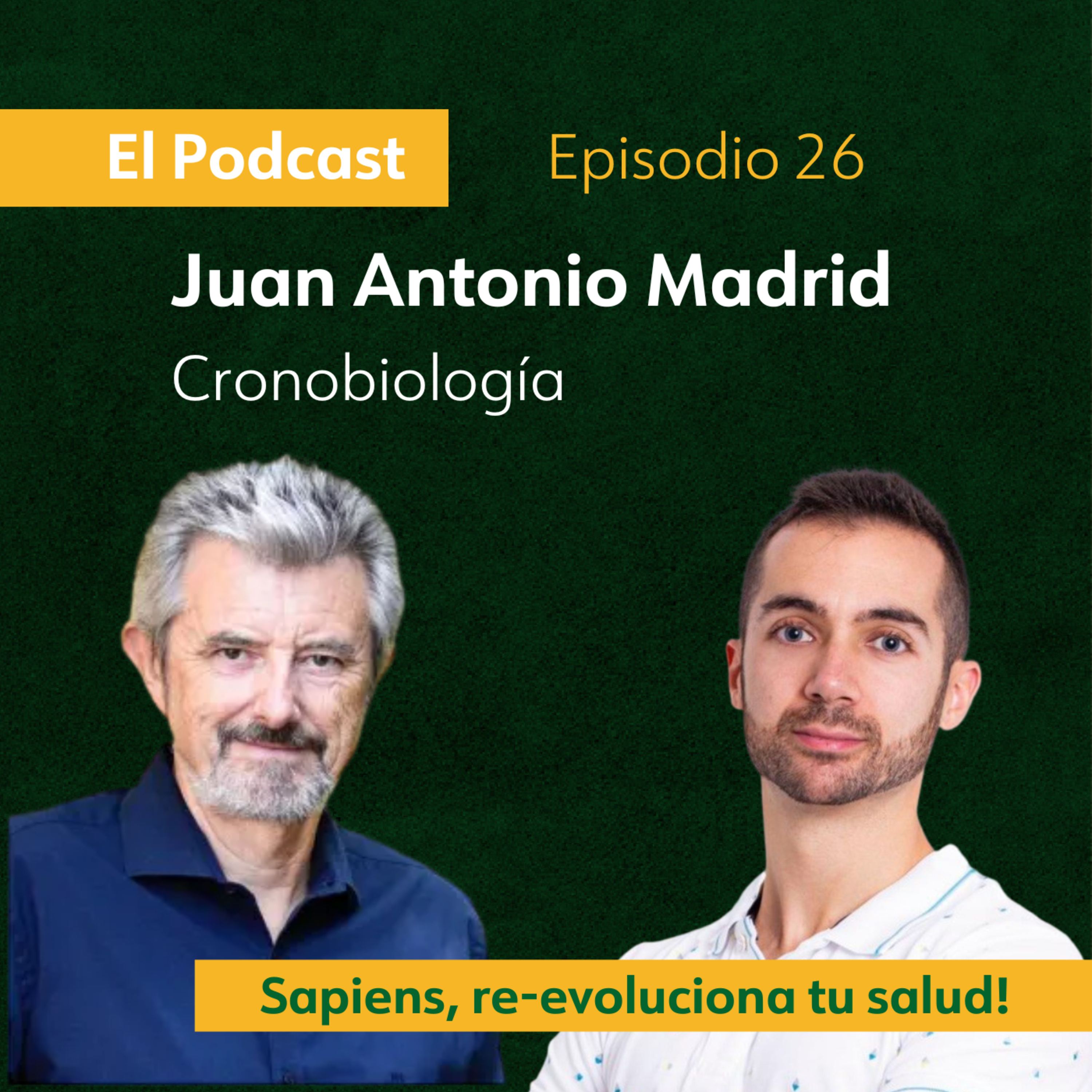 Conexión Sapiens