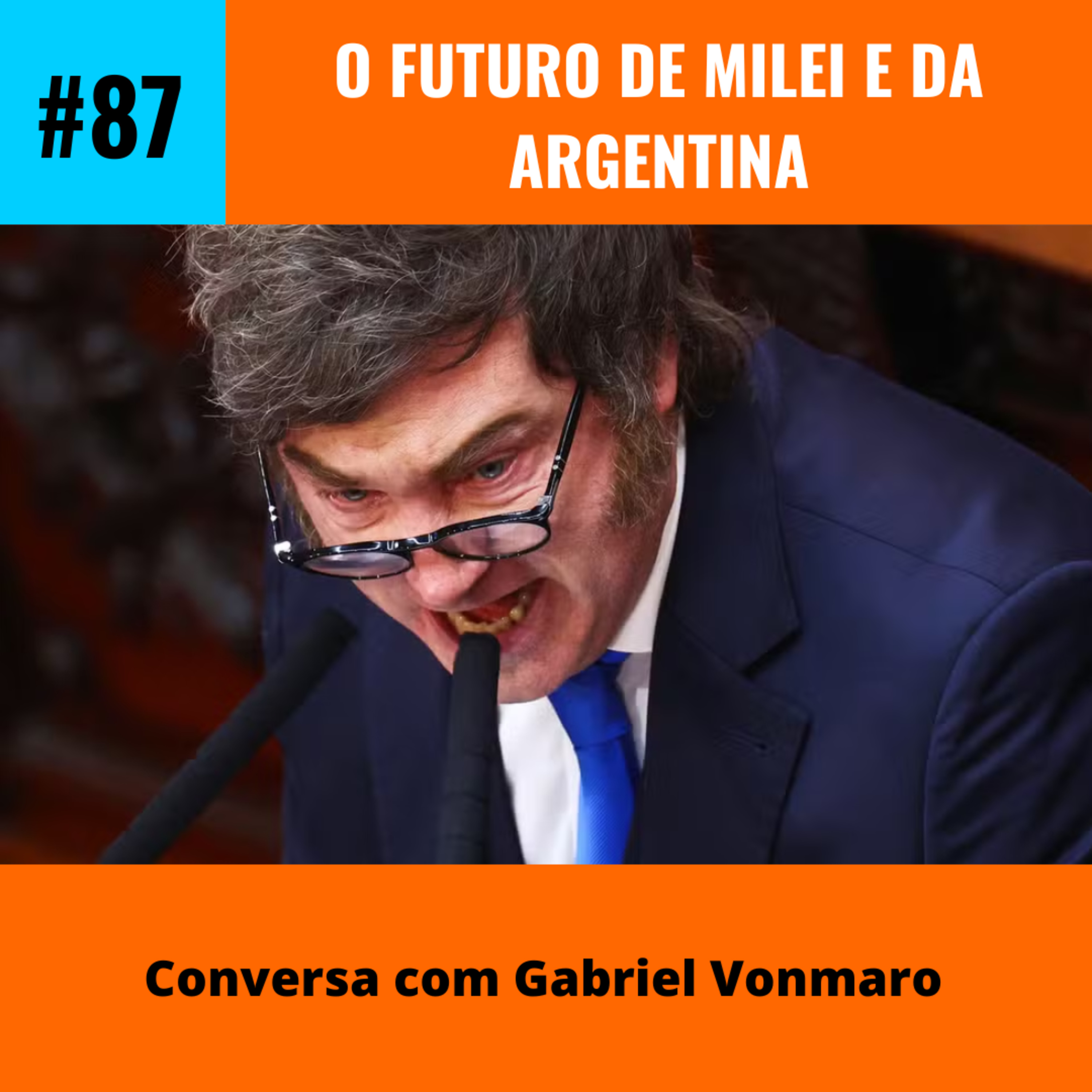 O futuro de Milei e da Argentina - um balanço do último ano do governo