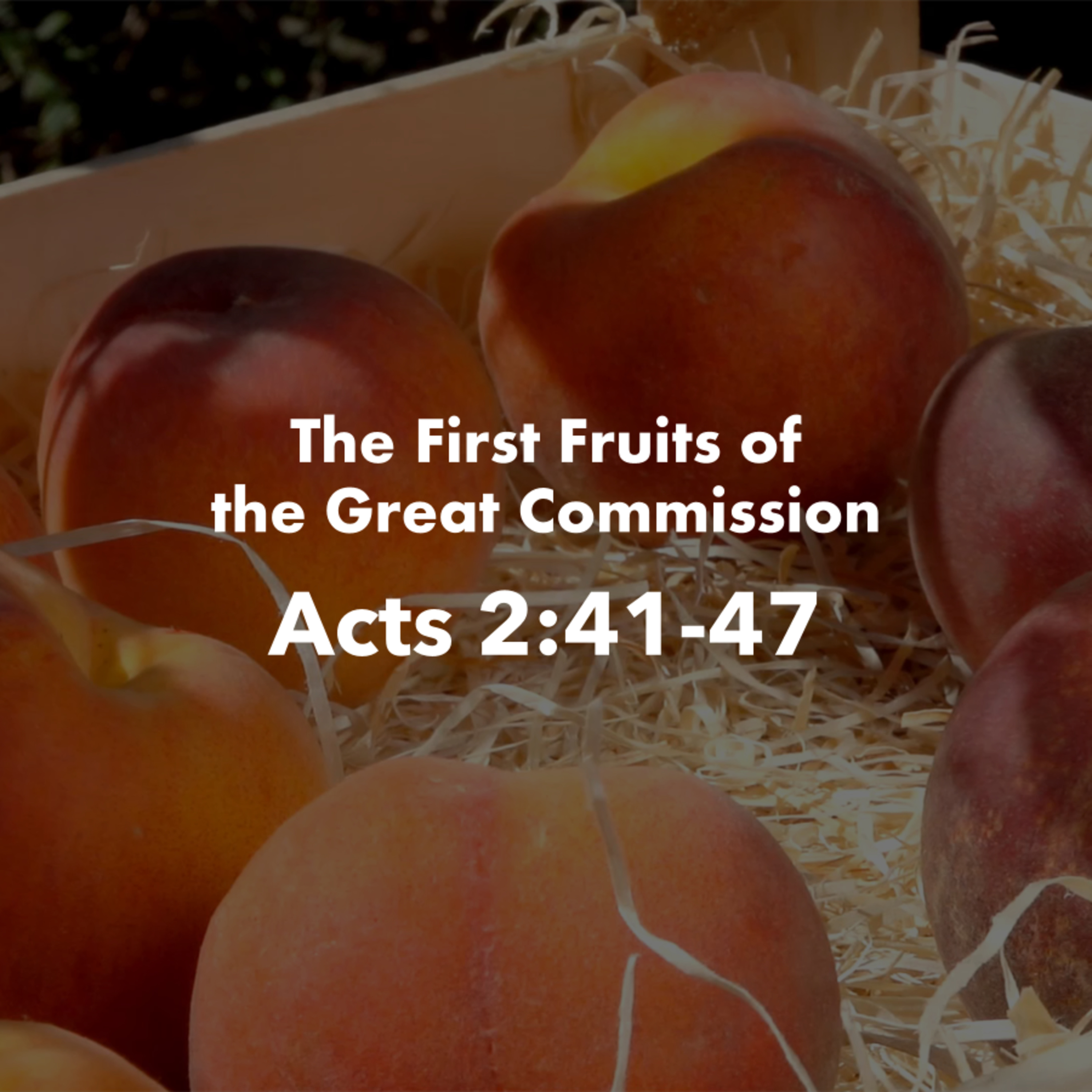 The First Fruits of the Great Commission - Acts 2:41-47 episode artwork