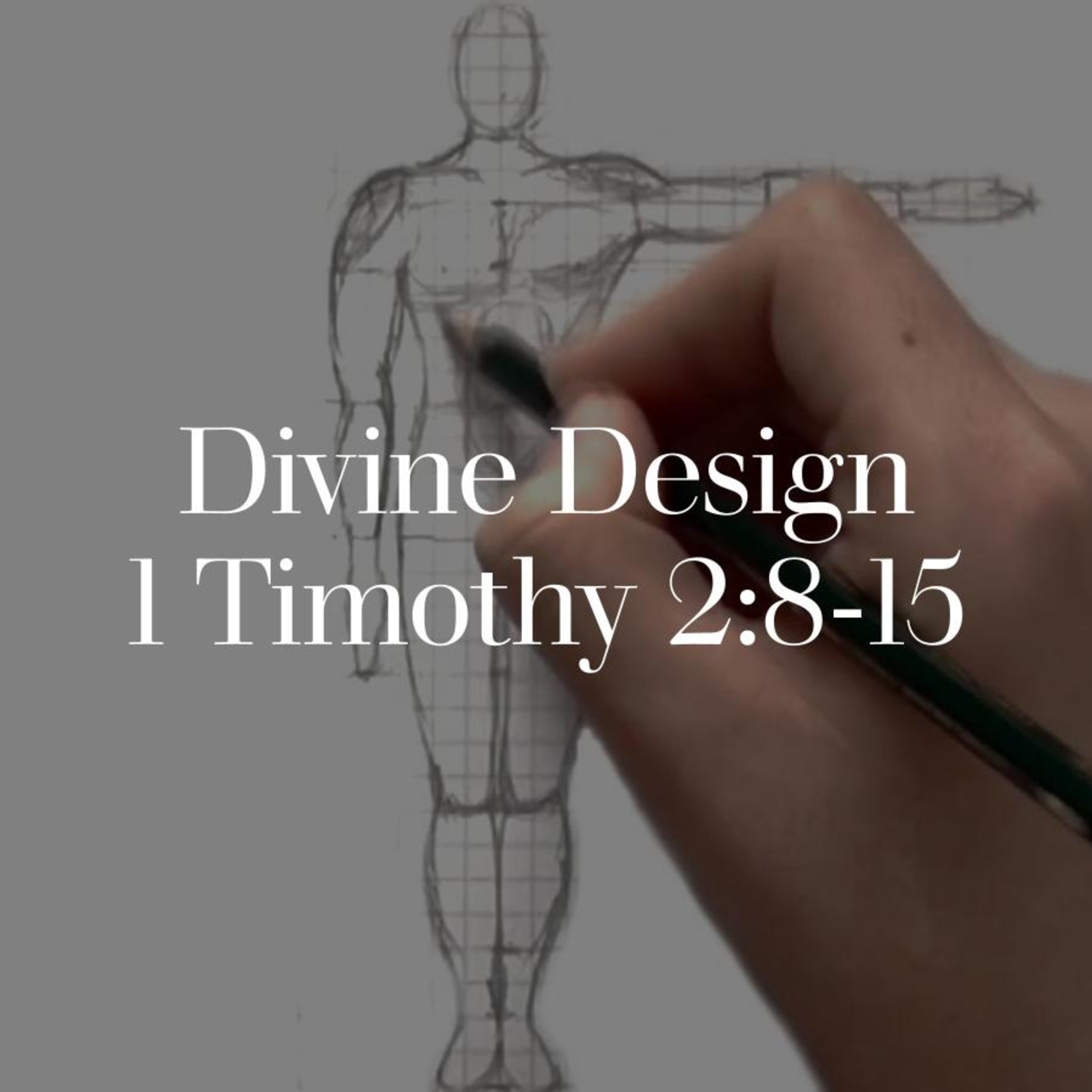 Divine Design - 1 Timothy 2:8-15