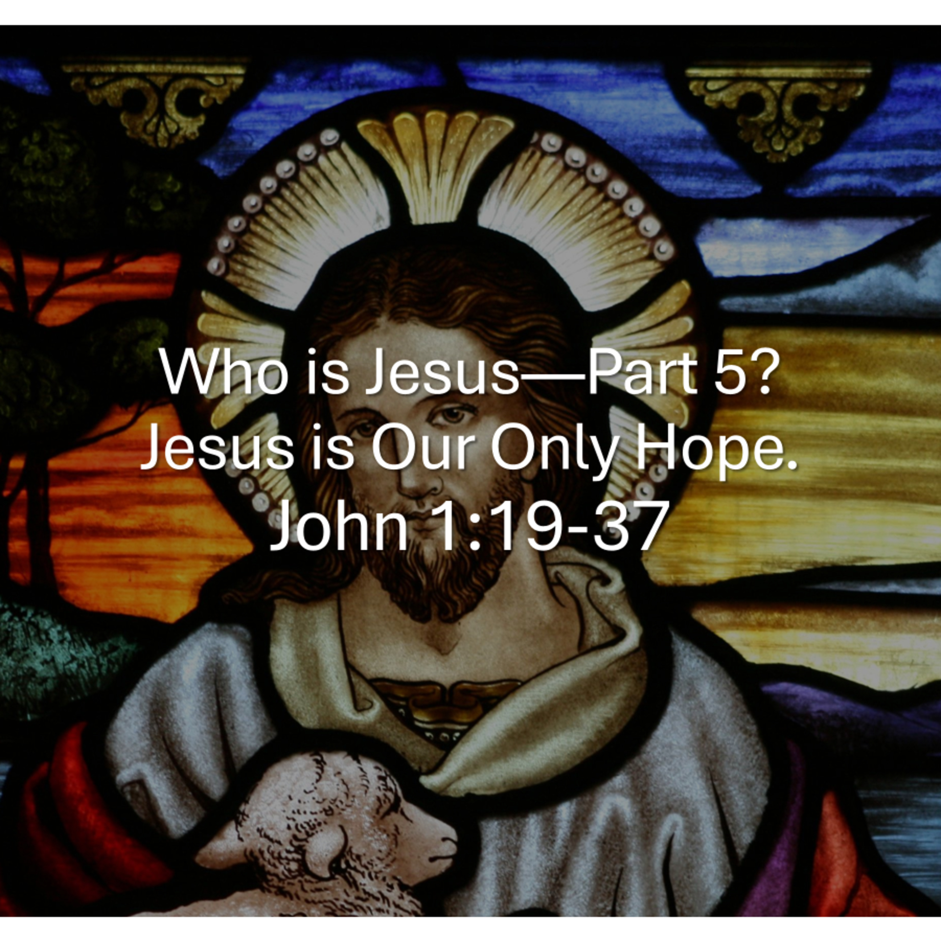 Who is Jesus - Part 5: Jesus is Our Only Hope - John 1:19-37 episode artwork
