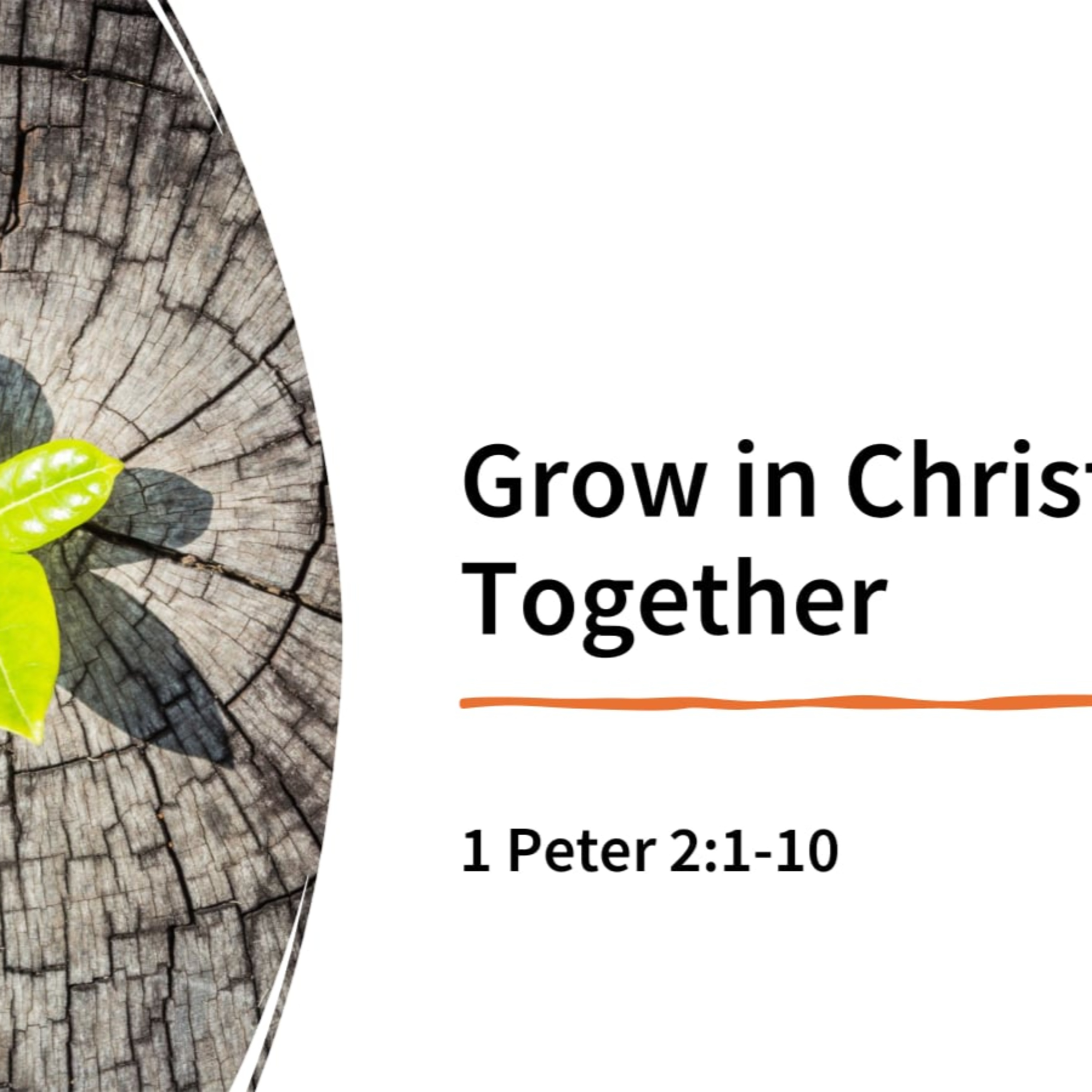 Grow in Christ Together - 1 Peter 2:1-10