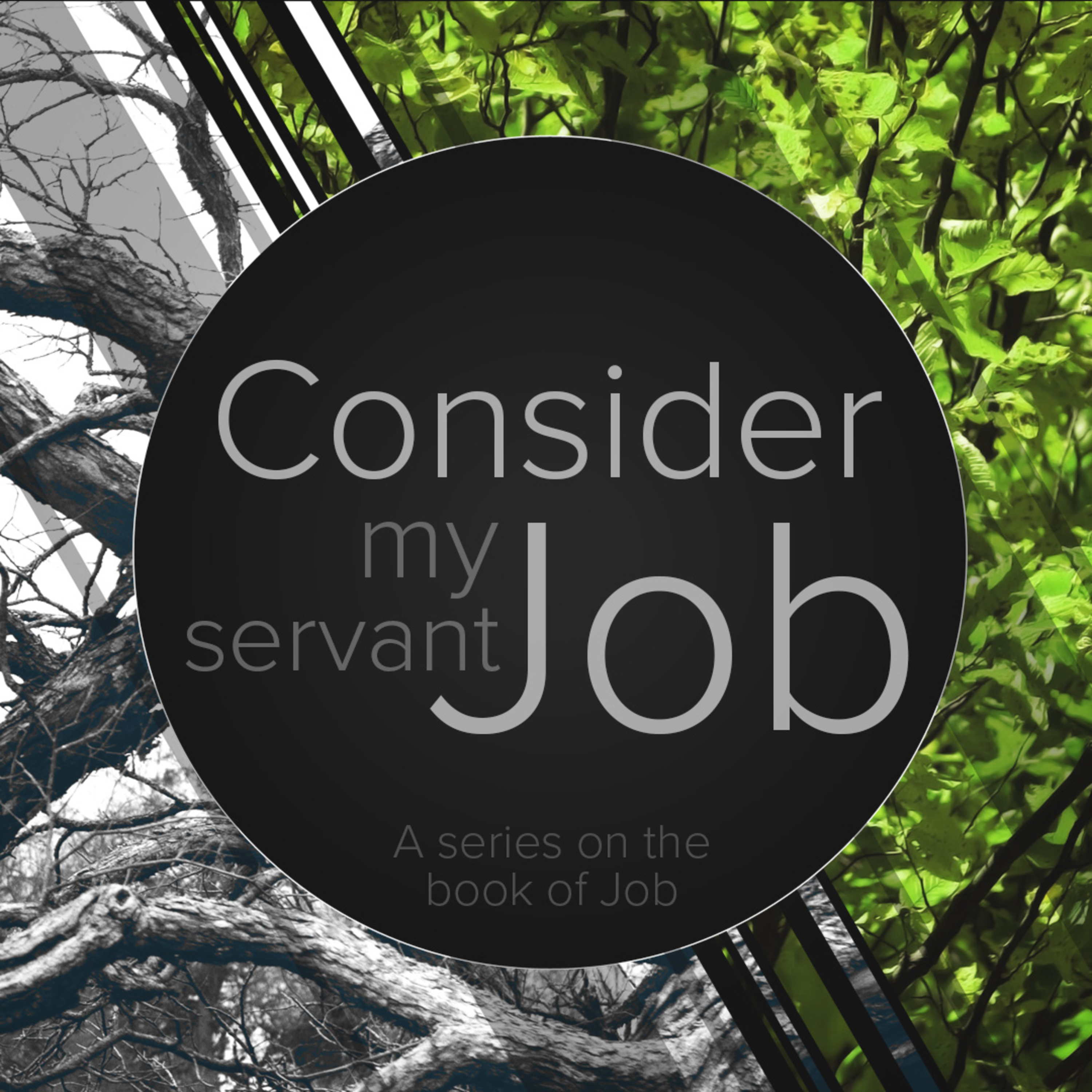 Consider My Servant Job | Week 5