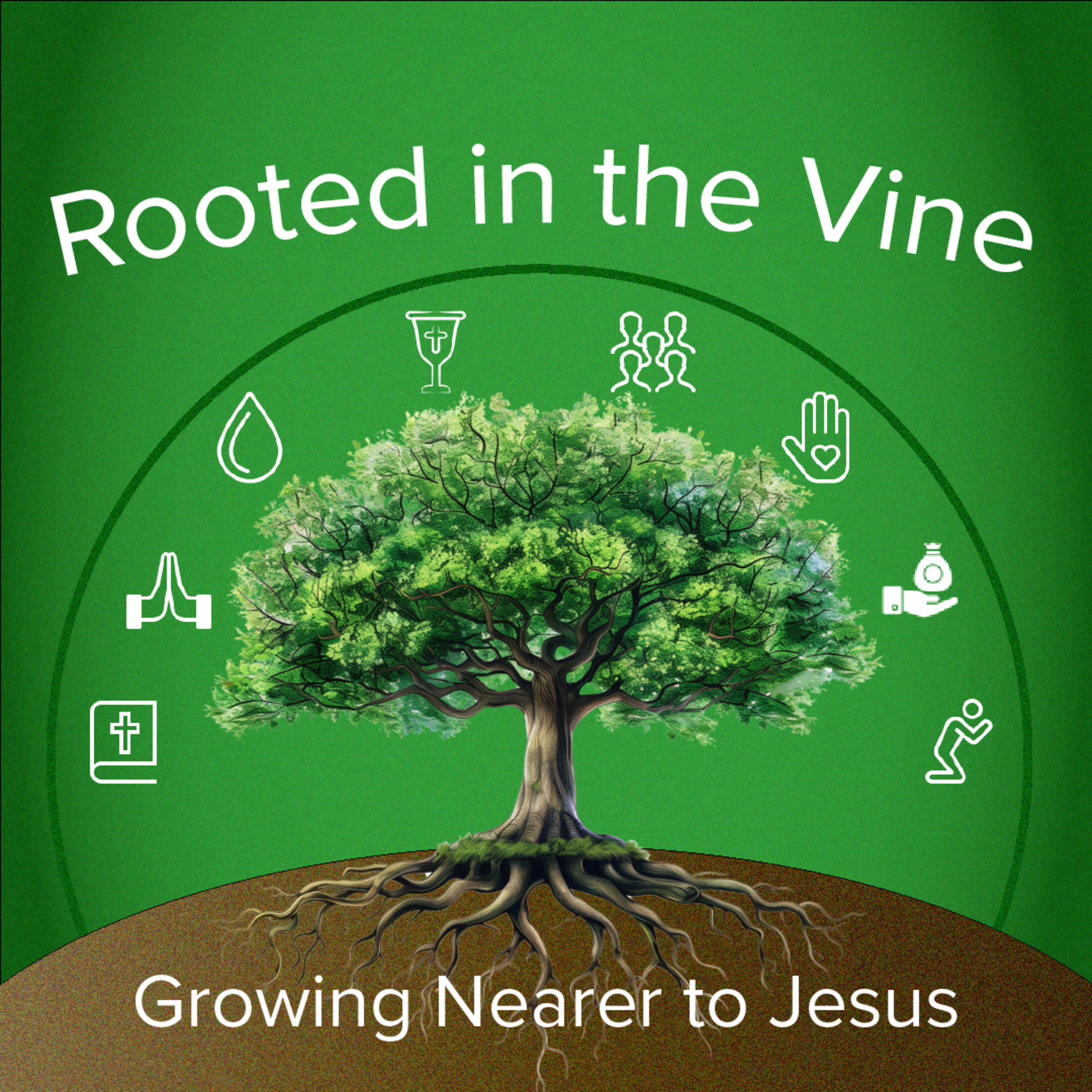Rooted In The Vine | Week 2