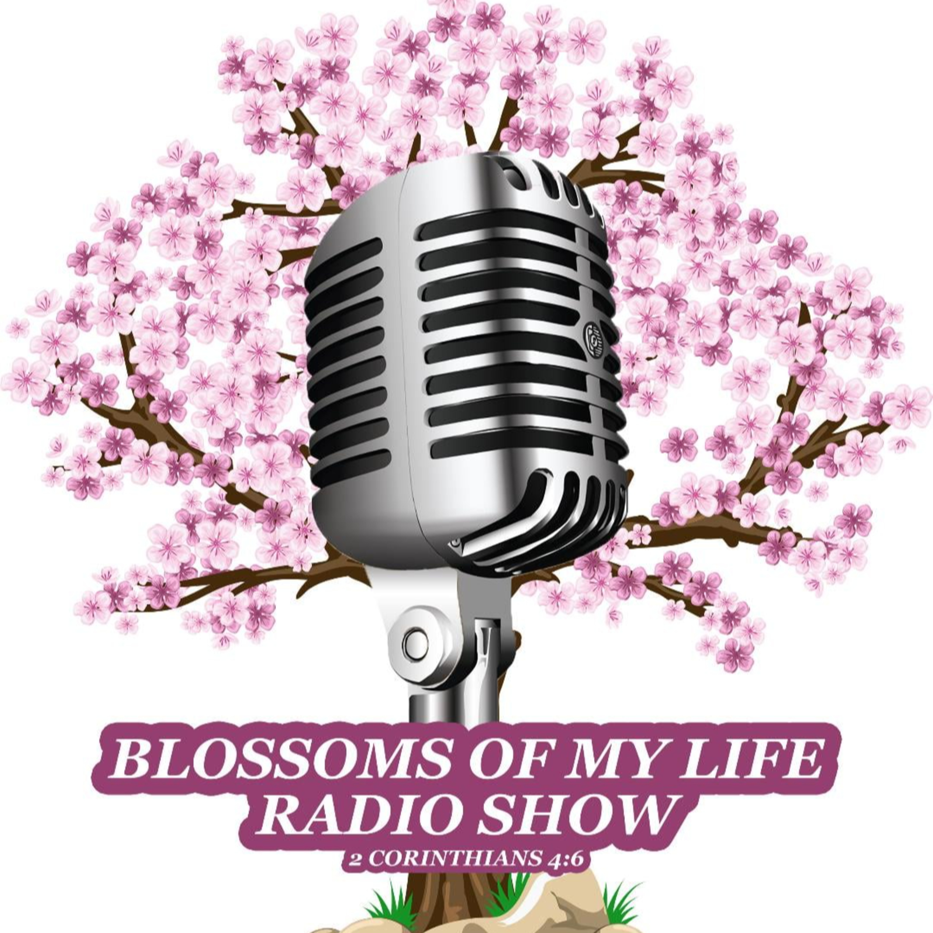 Elevation Radio Network