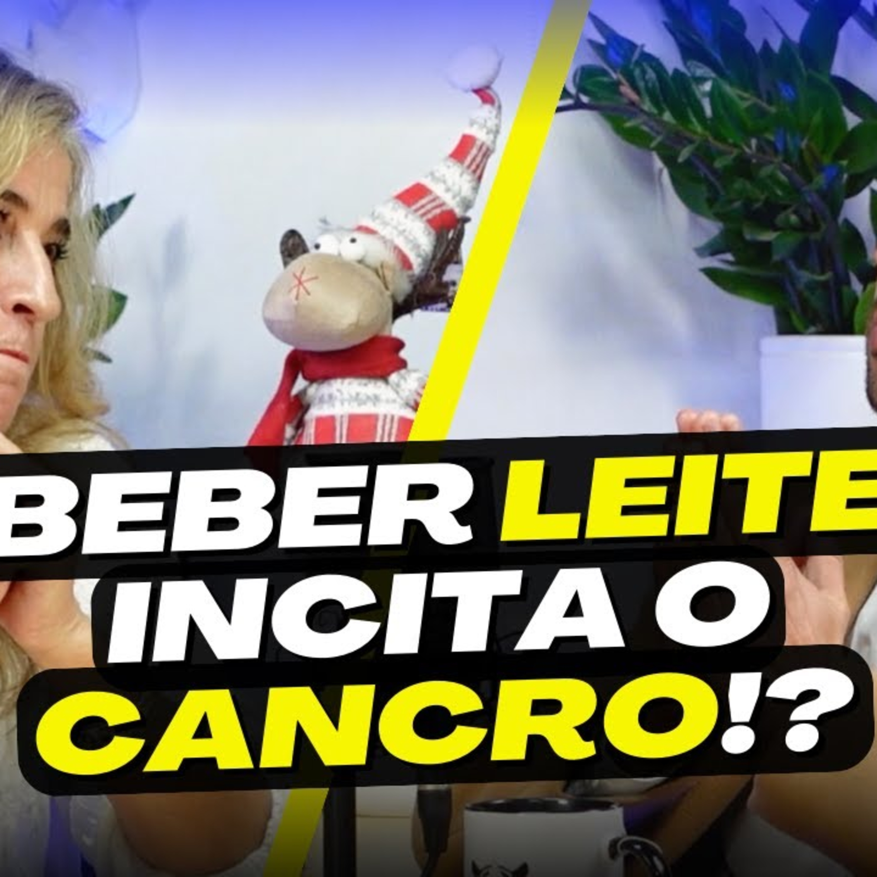 Alexandra Vasconcelos: BioReset, Hábitos Poderosos para a Longevidade | Conversas de Elite episode artwork