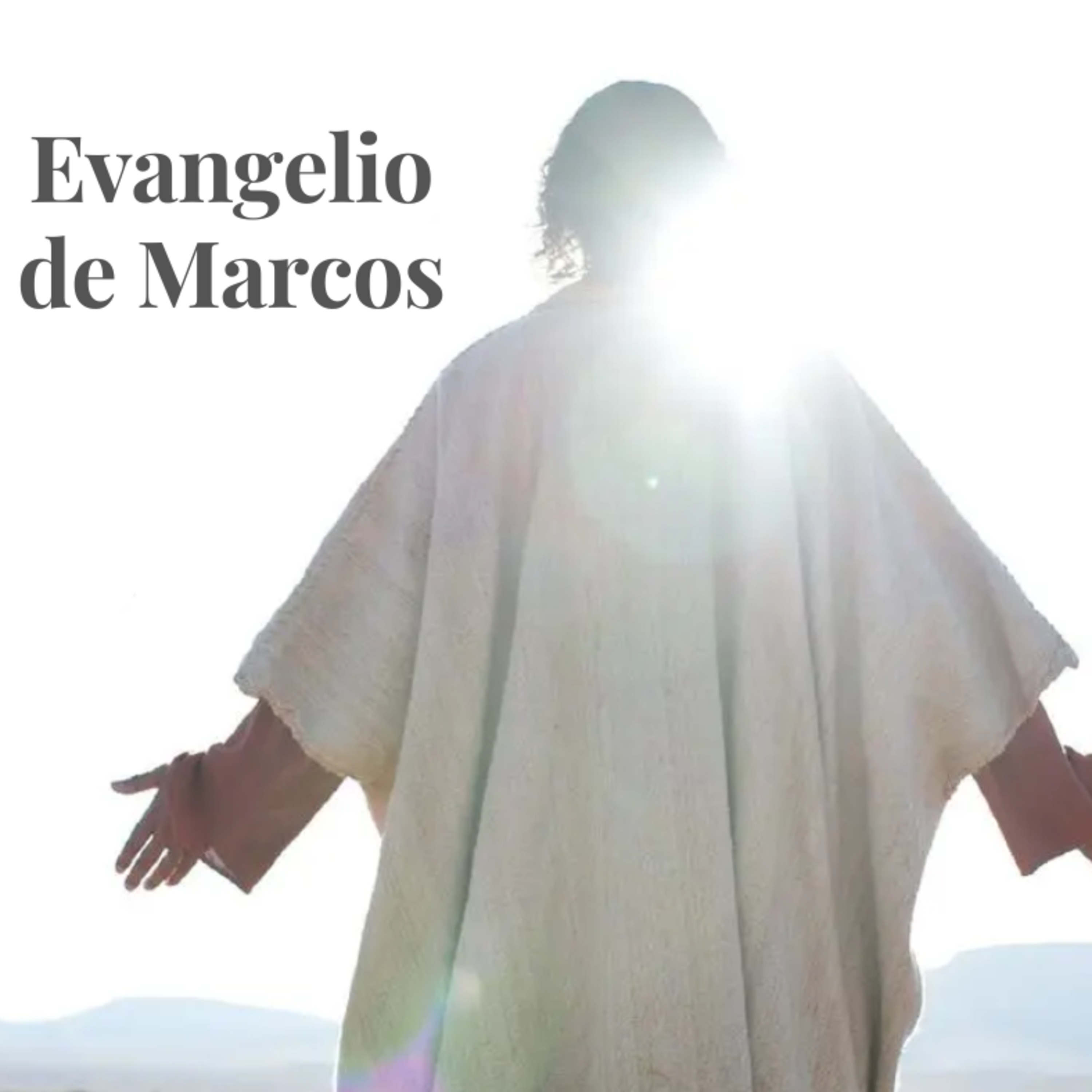 Semilla Ensenada Podcast