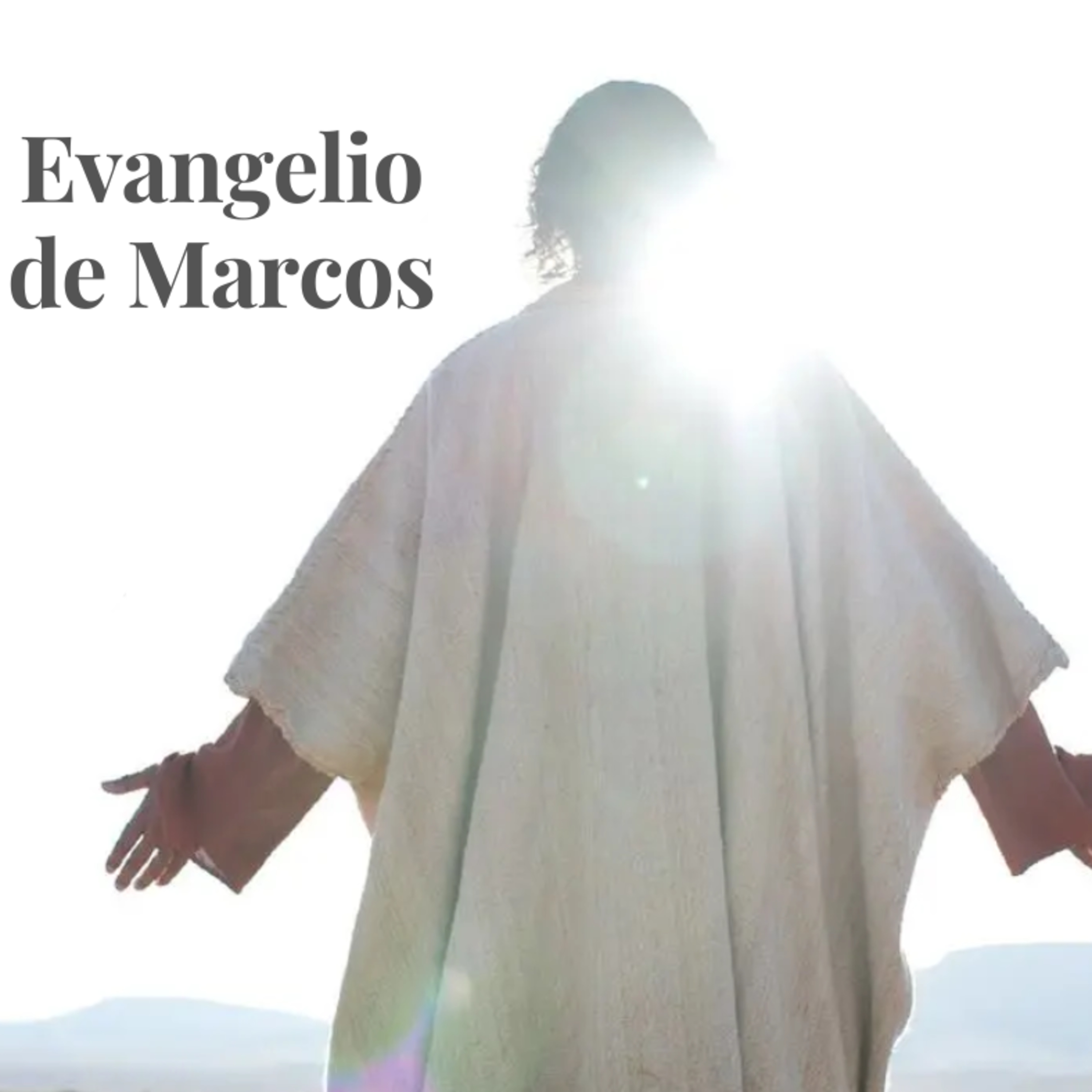 Semilla Ensenada Podcast
