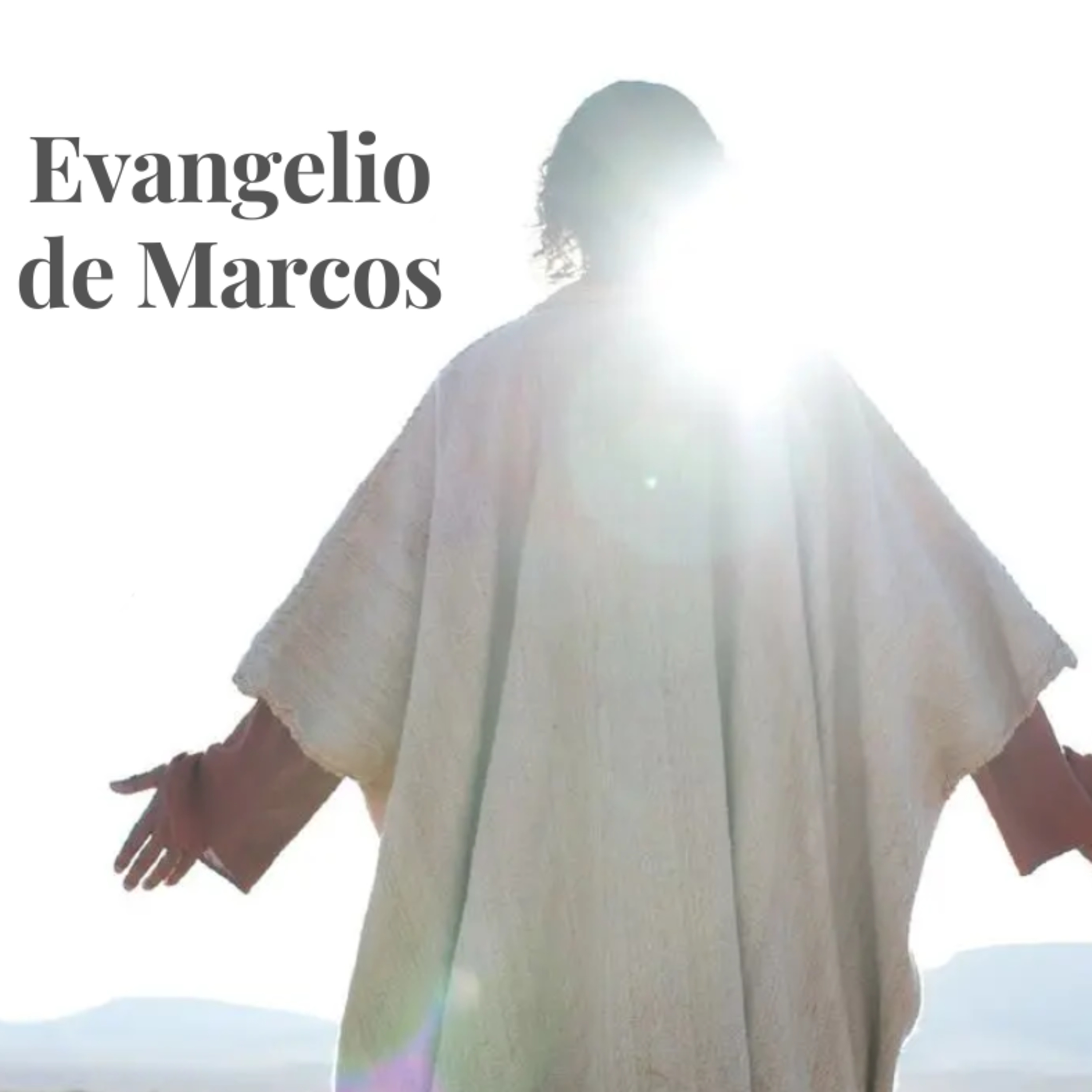 Semilla Ensenada Podcast