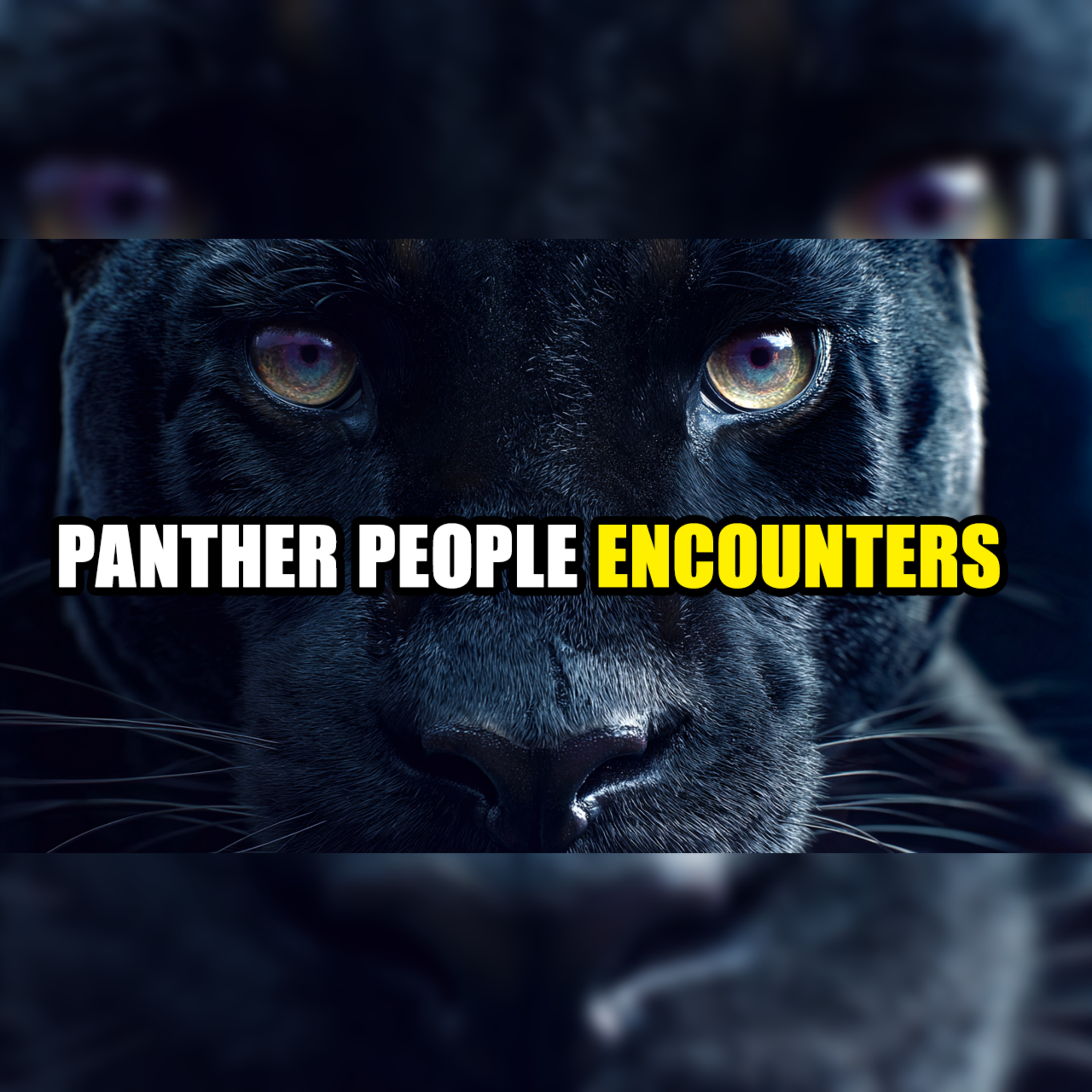 Panther People Encounters [Livestream 566]