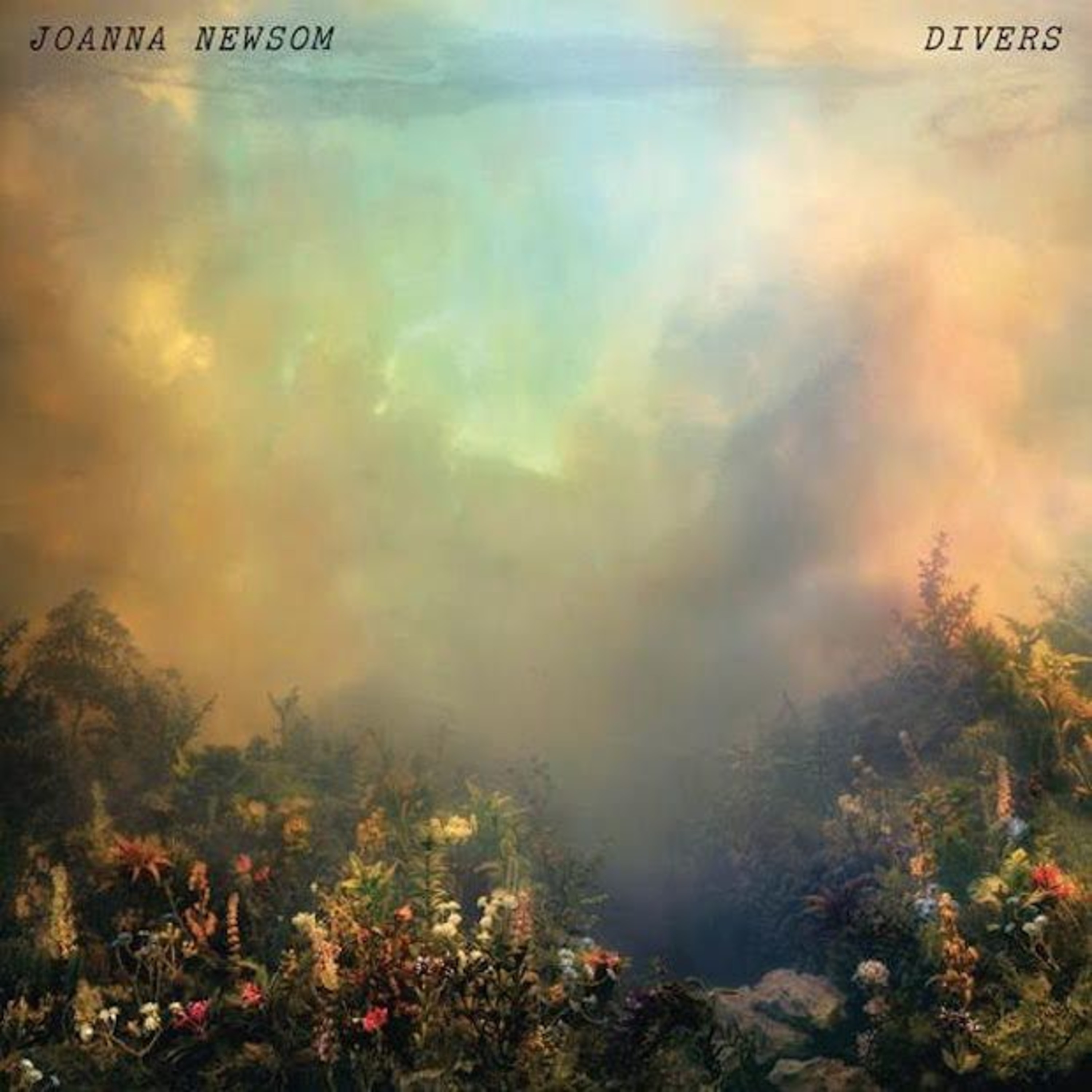 Kim Keever | Joanna Newsom