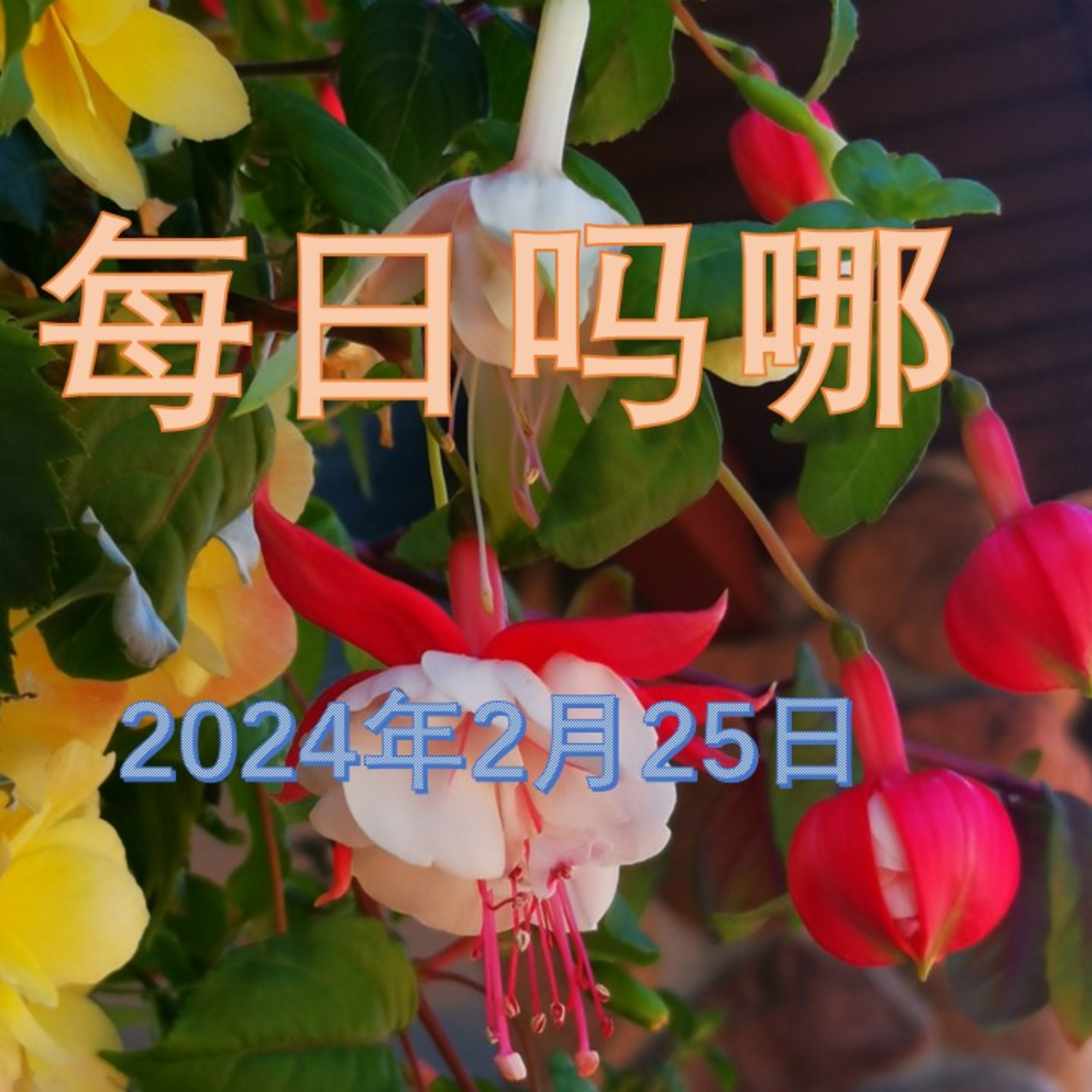 {每日吗哪}-2024年2月25日  遇到不信者刁难