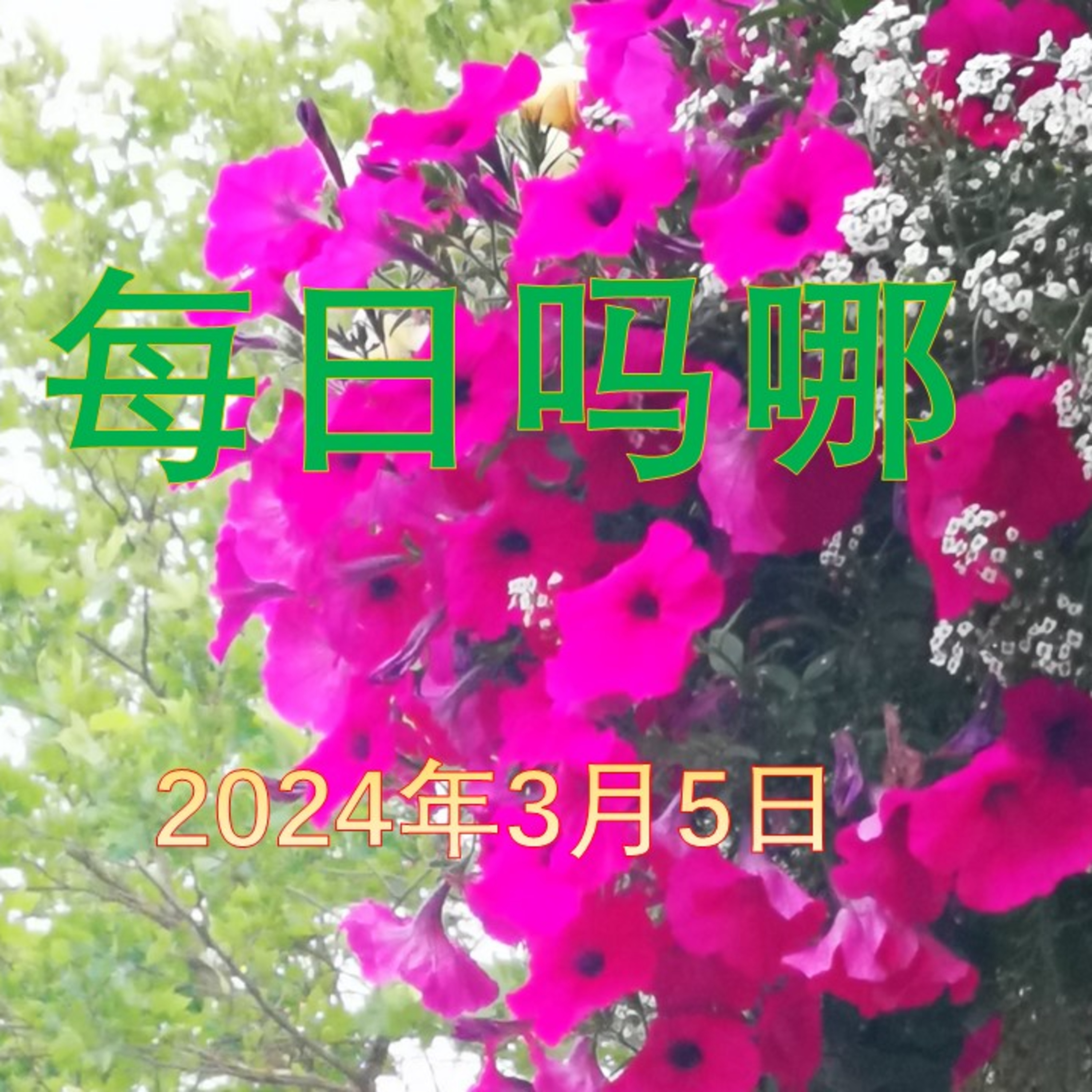 {每日吗哪}-2024年3月5日  父母的天职