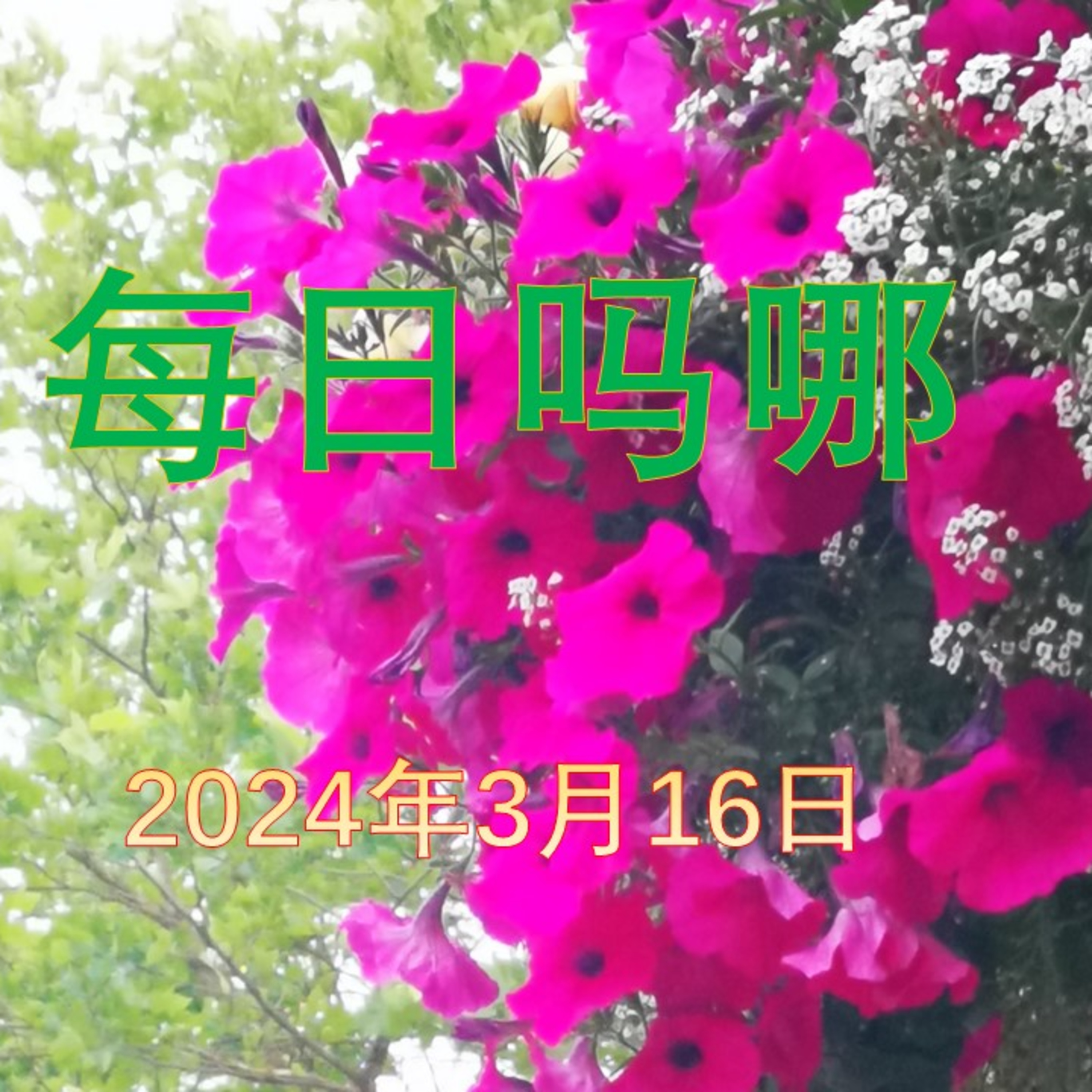 {每日吗哪}-2024年3月16日  从家庭开始