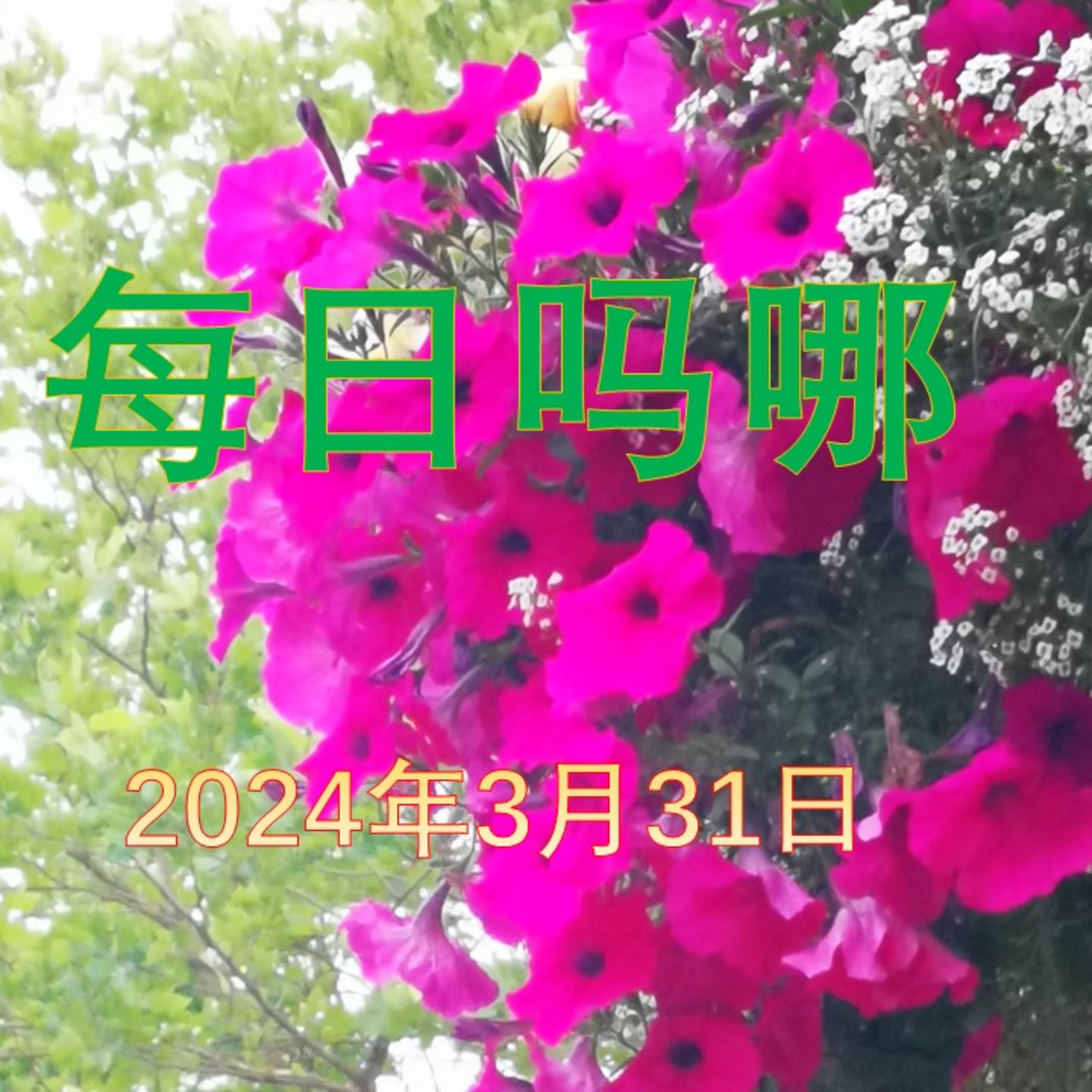 {每日吗哪}-2024年3月31日  第一个主日 episode artwork