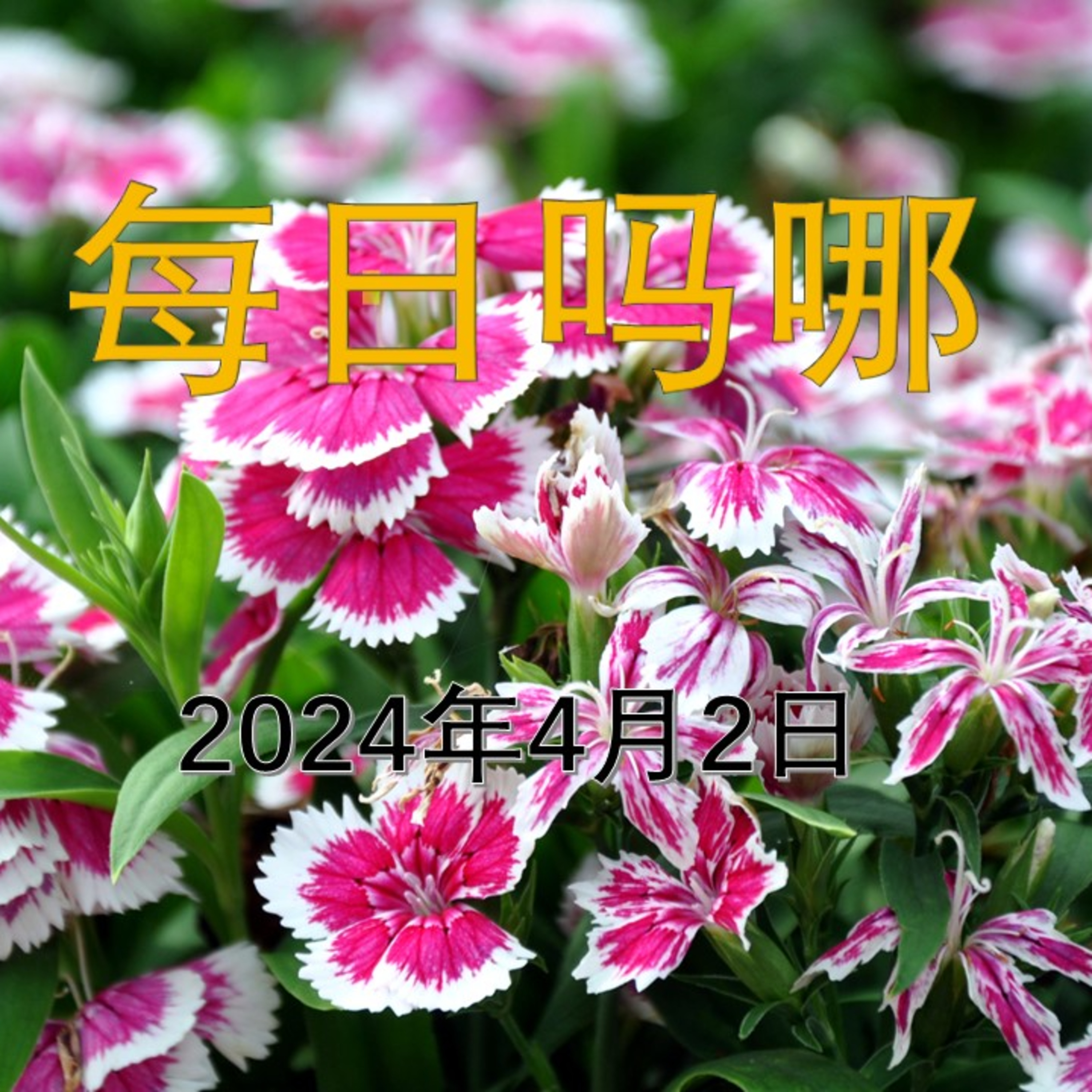 {每日吗哪}-2024年4月2日  燃灯