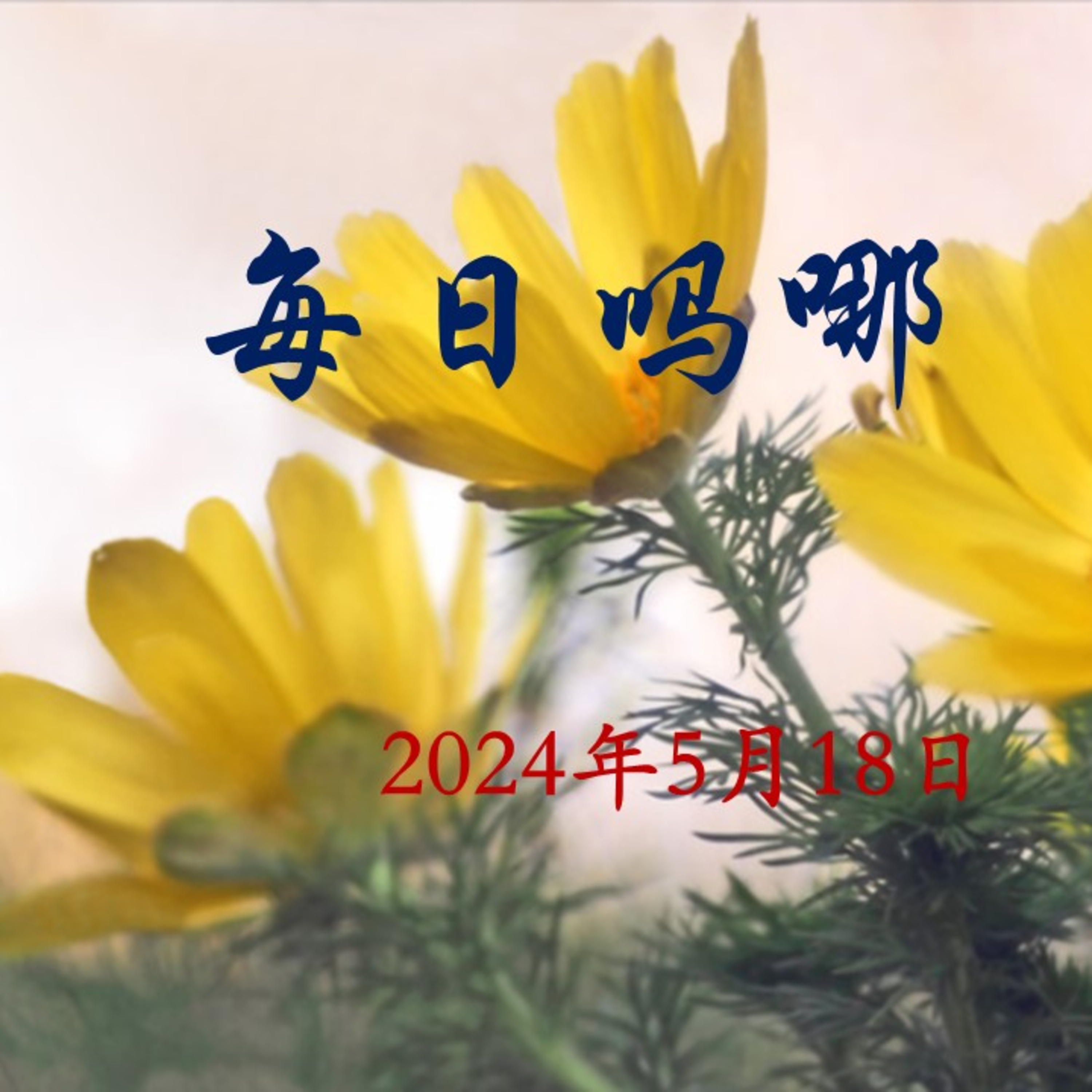 {每日吗哪}-5月18日  操练敬虔 episode artwork