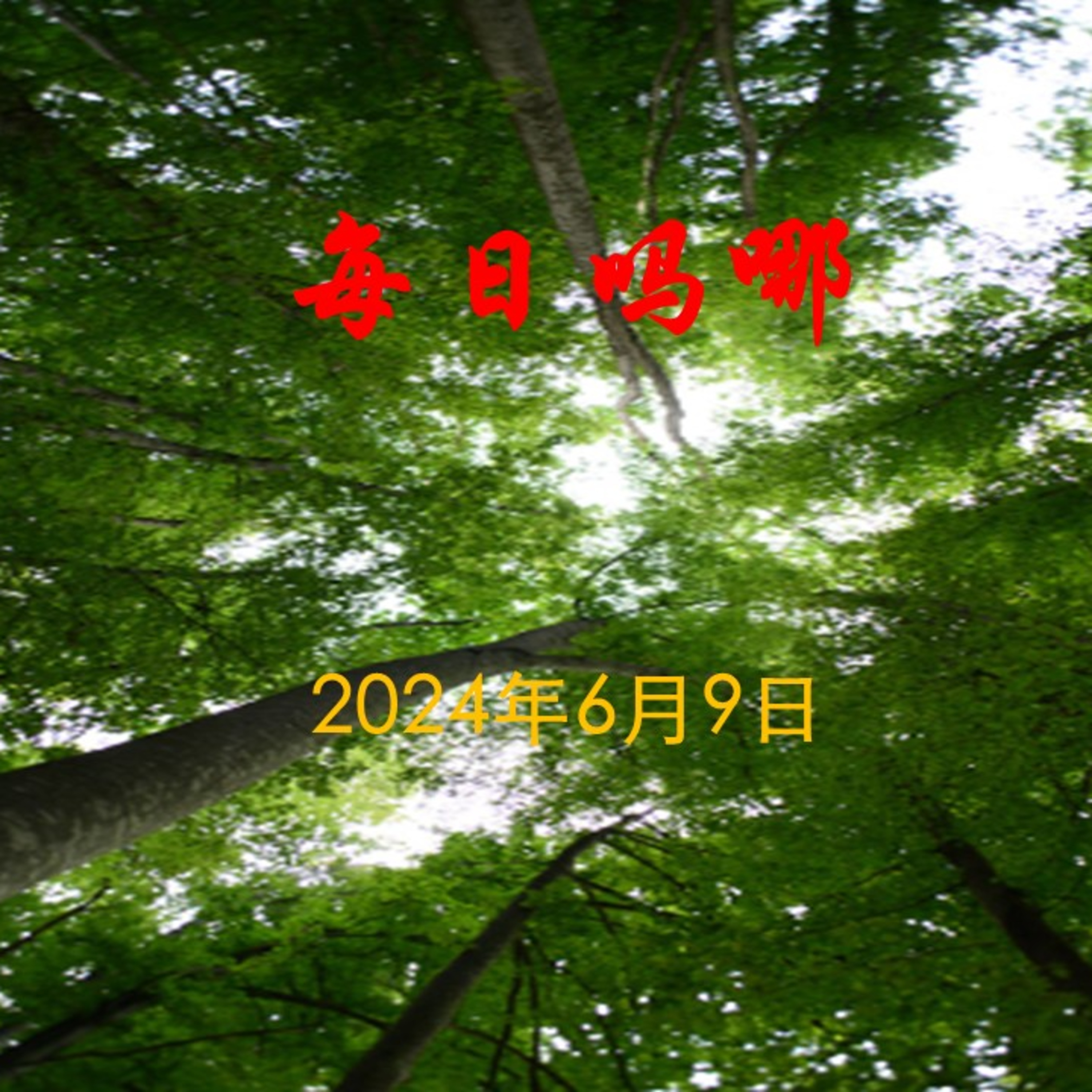 {每日吗哪}-6月9日  似舍实得 episode artwork