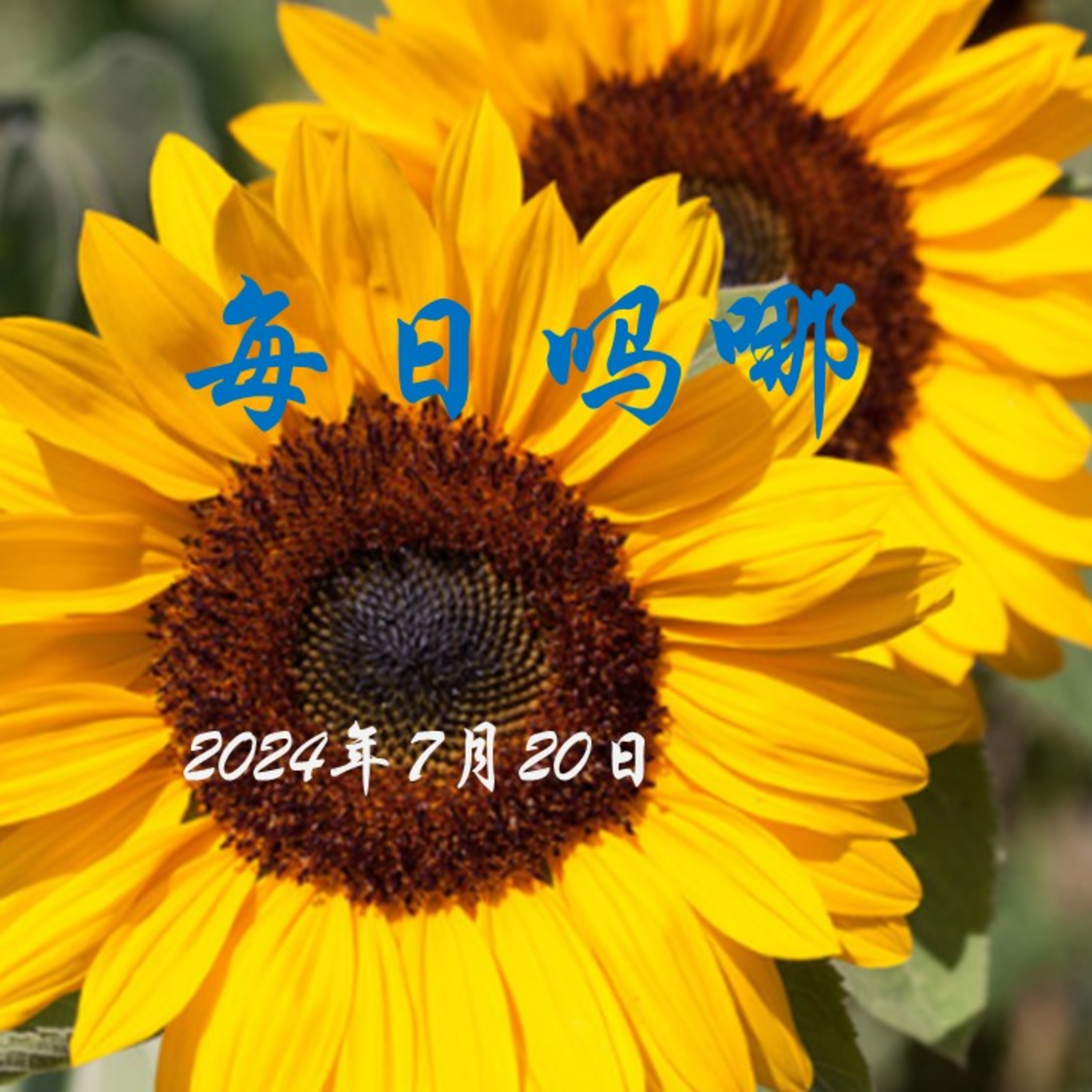 {每日吗哪}-7月20日  禁造谁的像？ episode artwork
