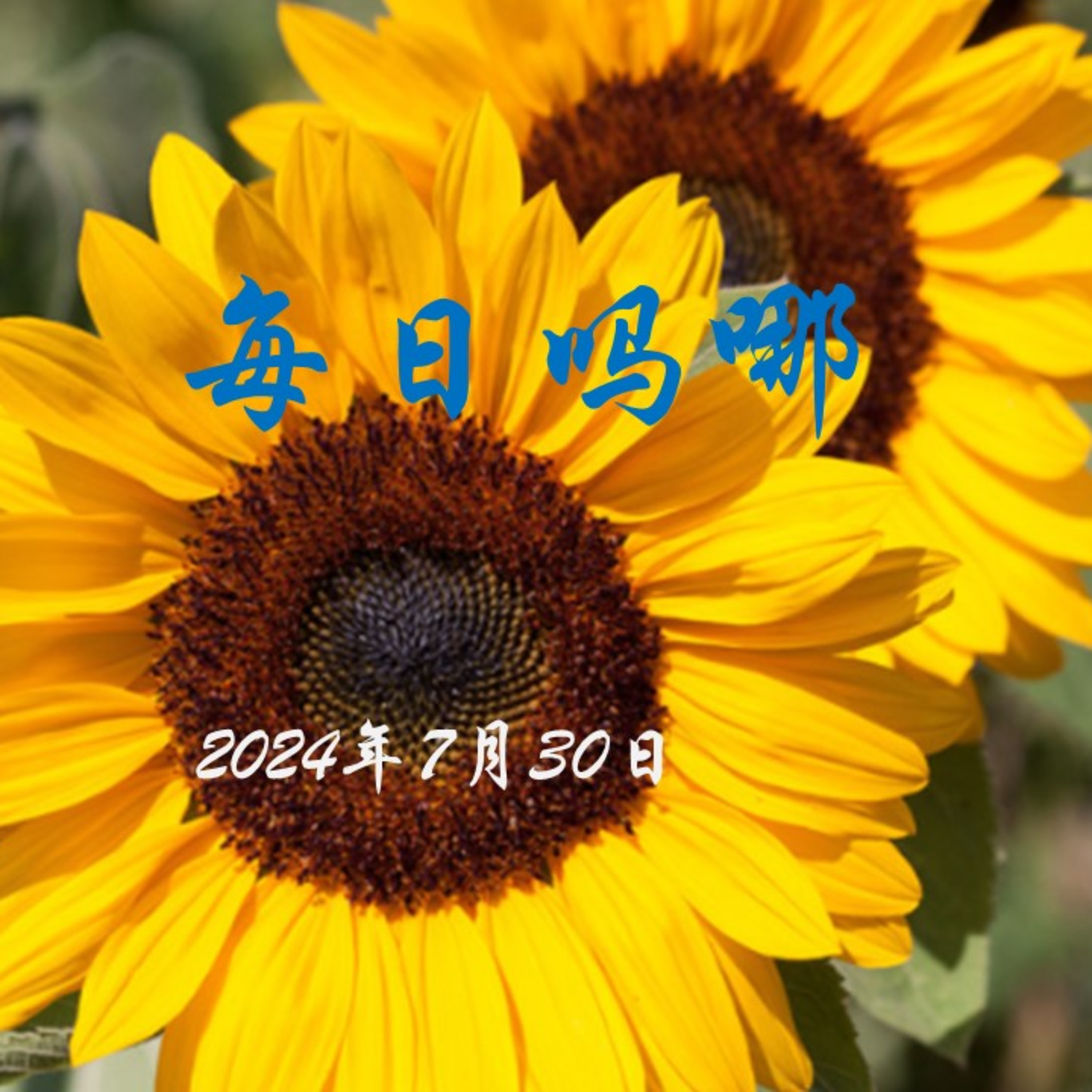{每日吗哪}-7月30日  攻破 episode artwork