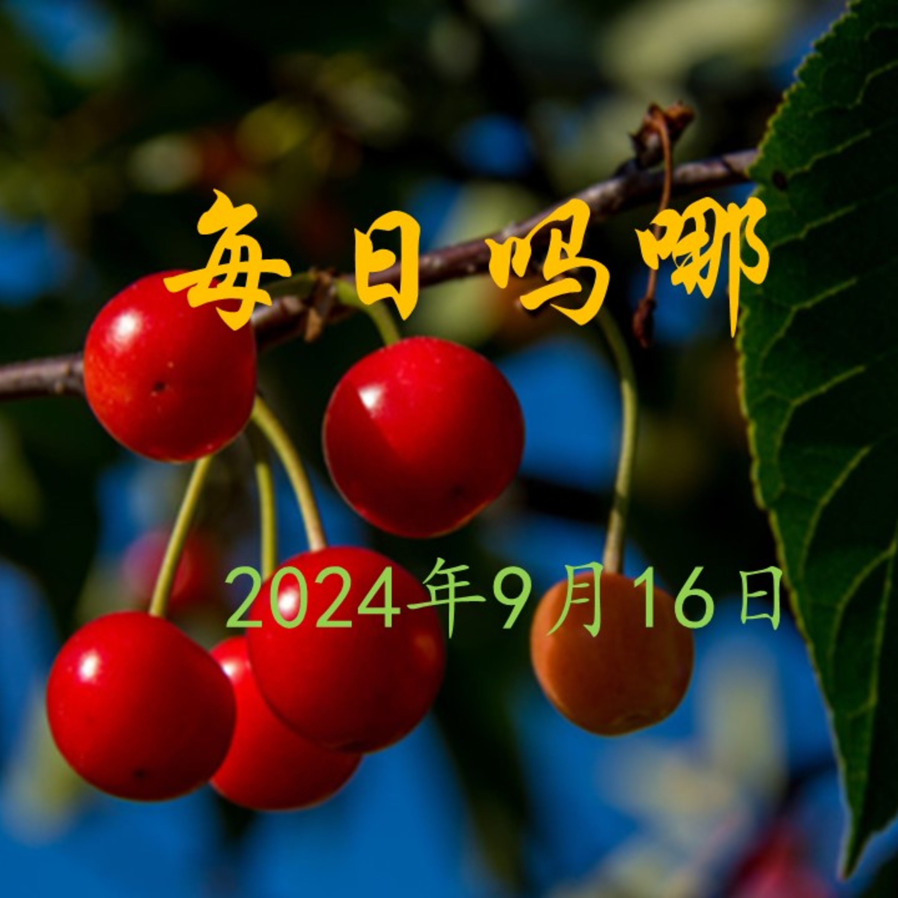 {每日吗哪}9月16日  不可杀人 episode artwork