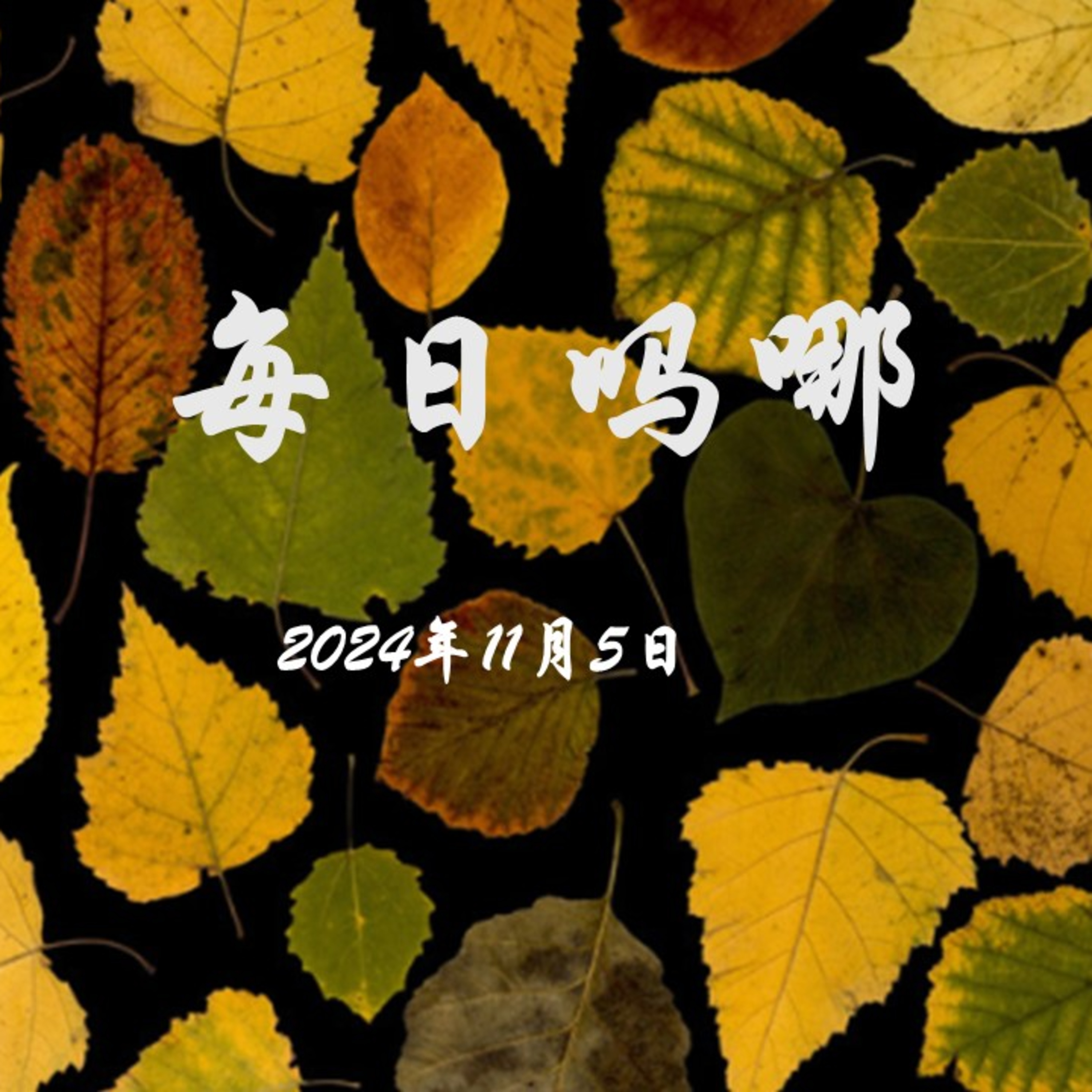 {每日吗哪}11月5日  谄媚 episode artwork