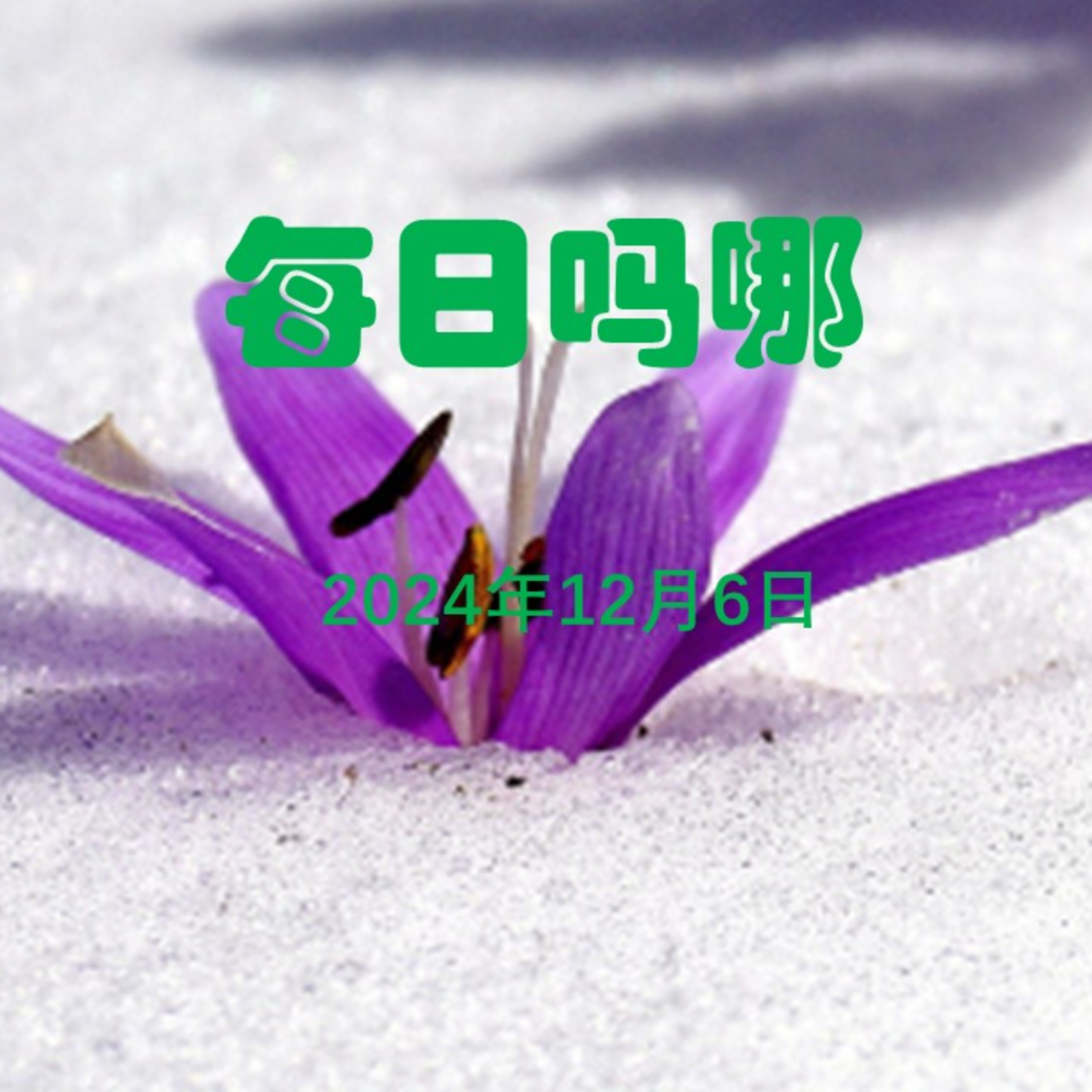 {每日吗哪}12月6日  敬拜神 episode artwork