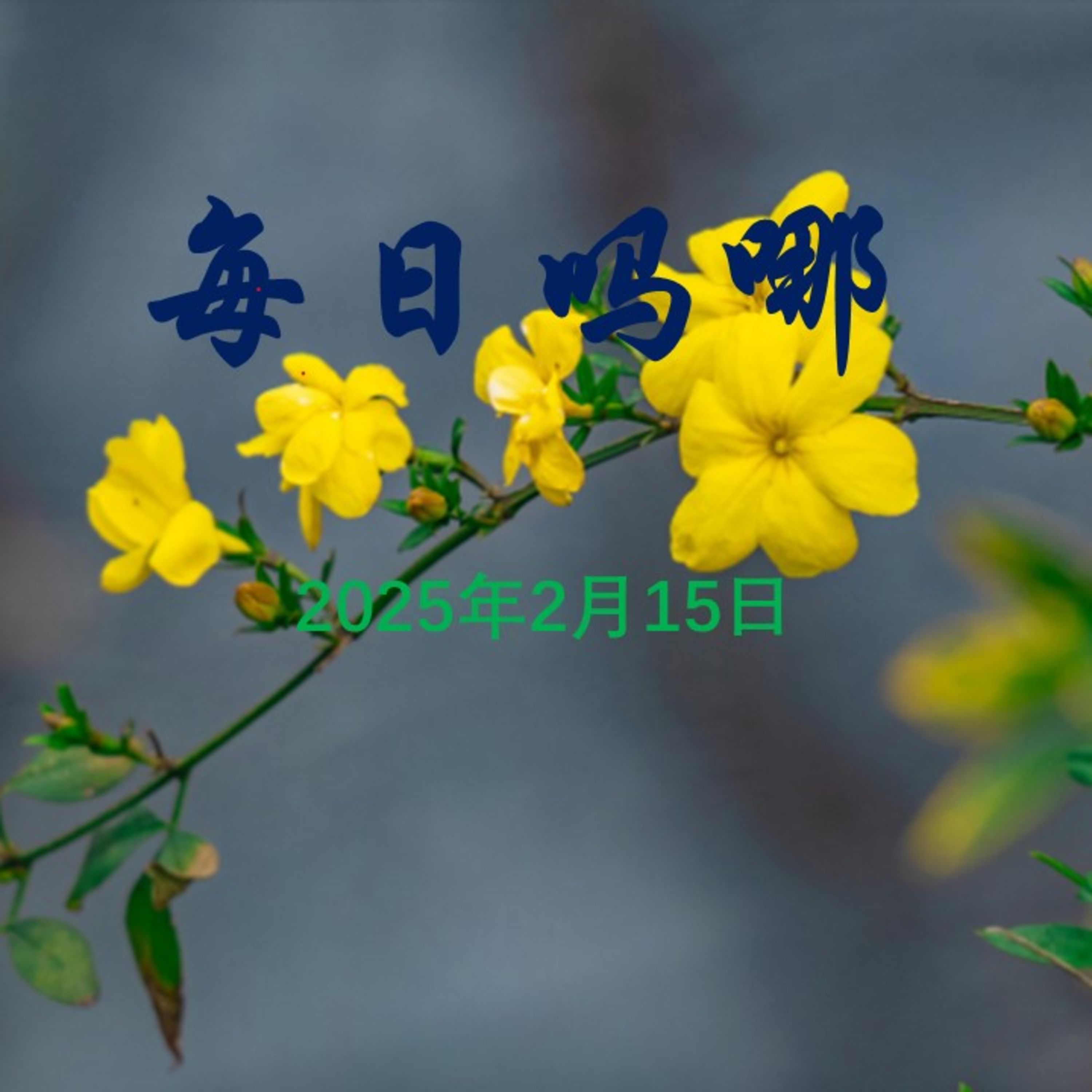 {每日吗哪}2月15日  麻木 episode artwork
