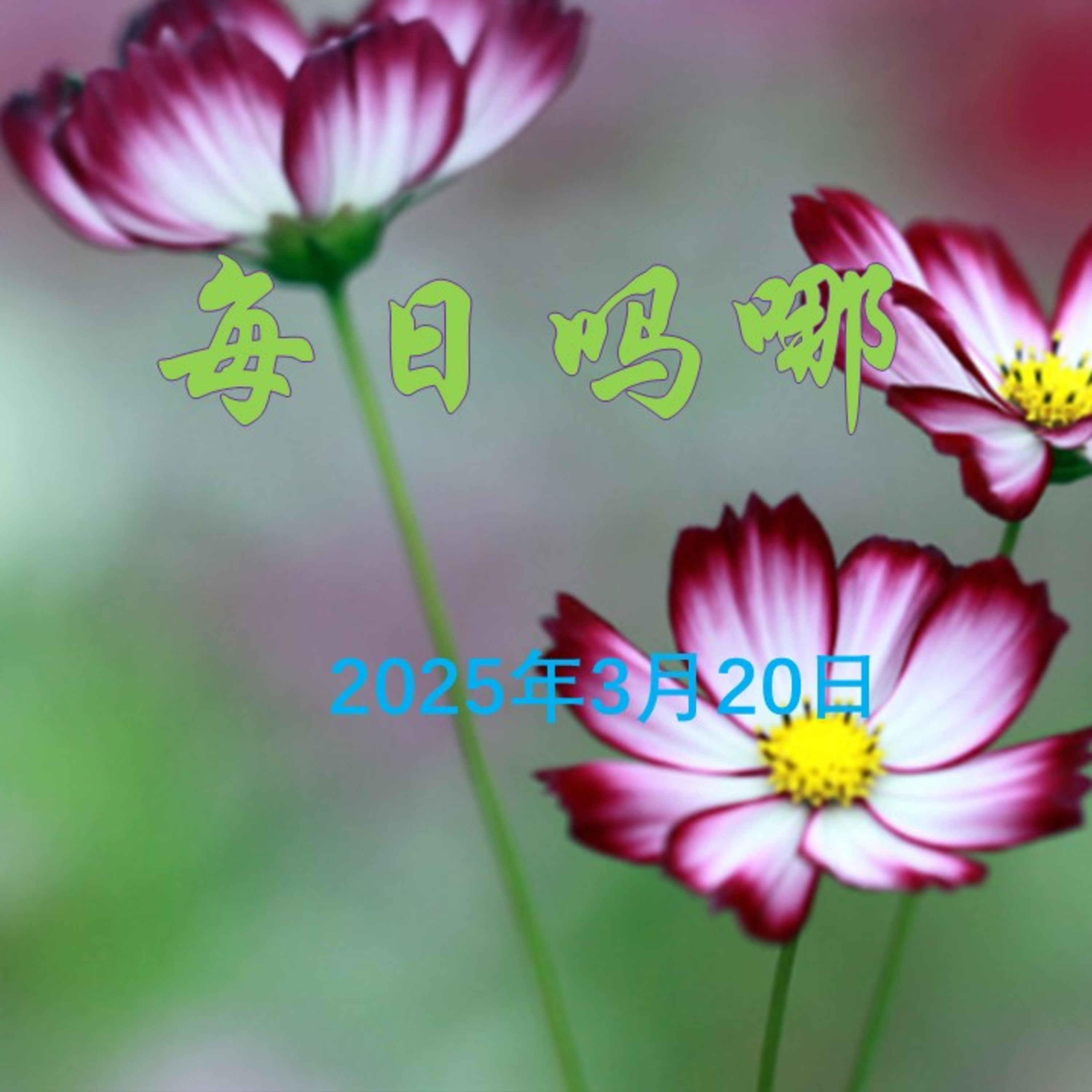 {每日吗哪}3月20日  我的神 episode artwork
