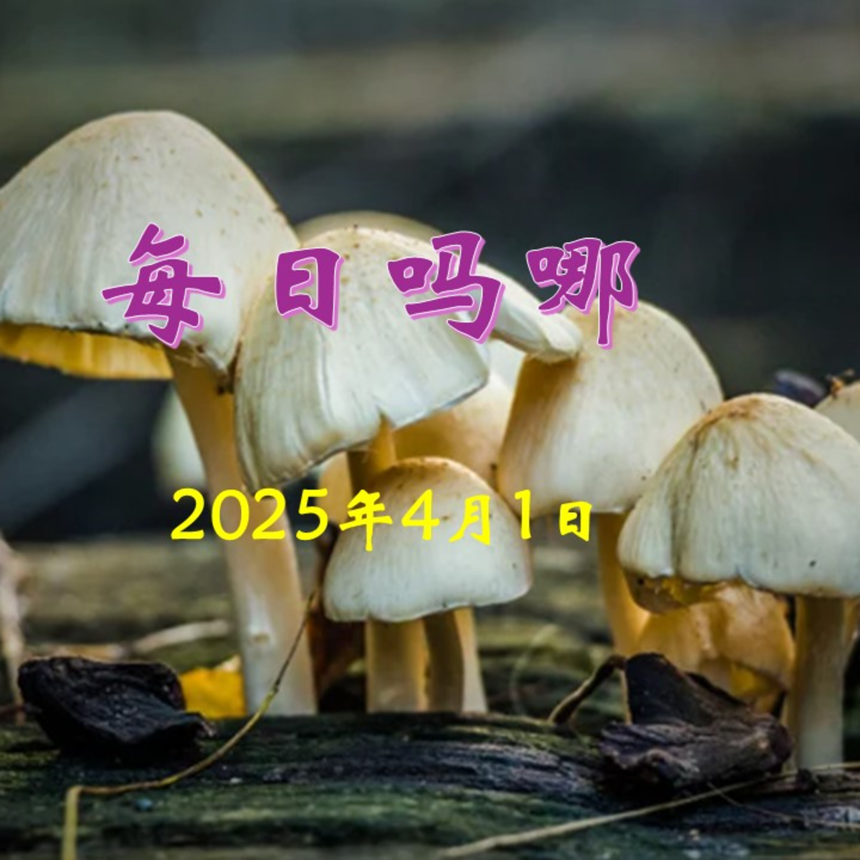 {每日吗哪}4月1日  认罪与赦罪 episode artwork
