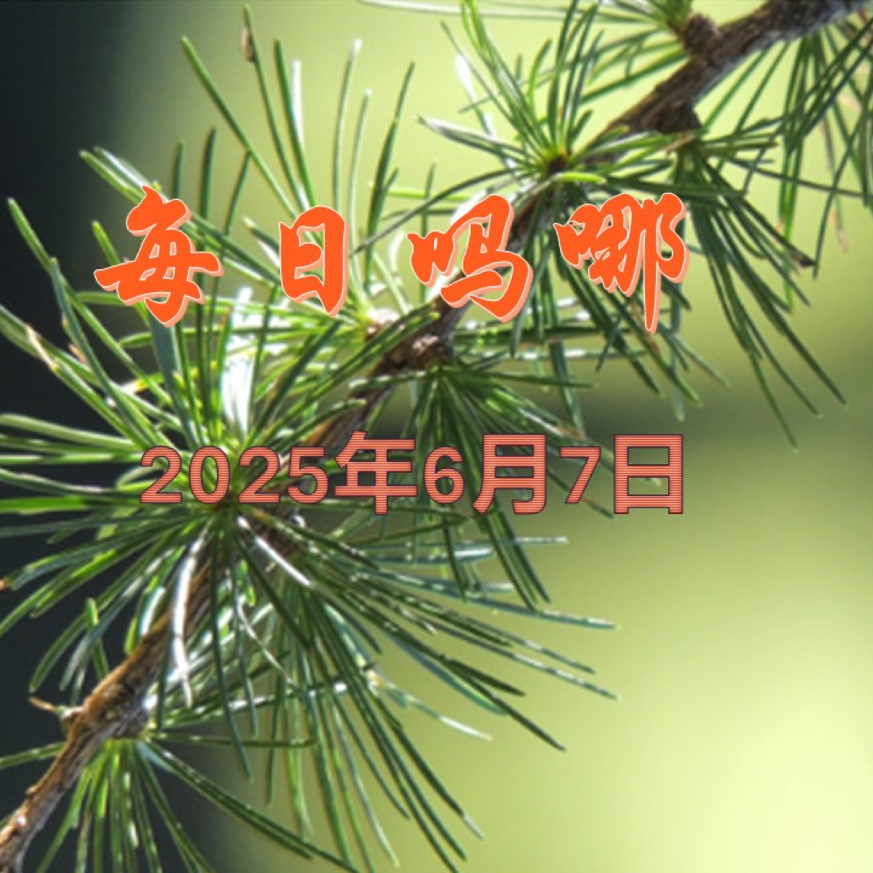{每日吗哪}6月7日  期待 episode artwork