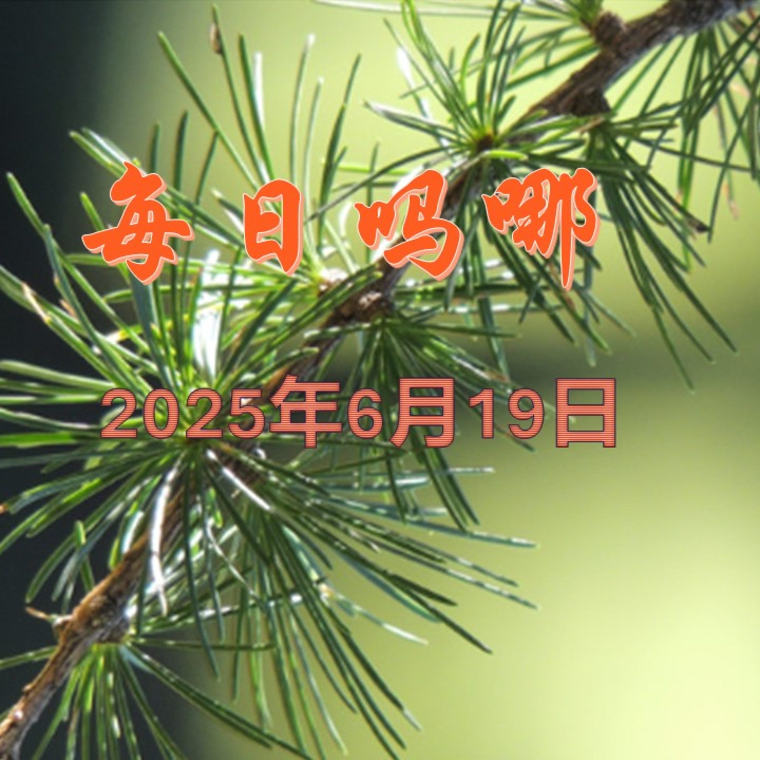 {每日吗哪}6月19日  遵行神的话 episode artwork
