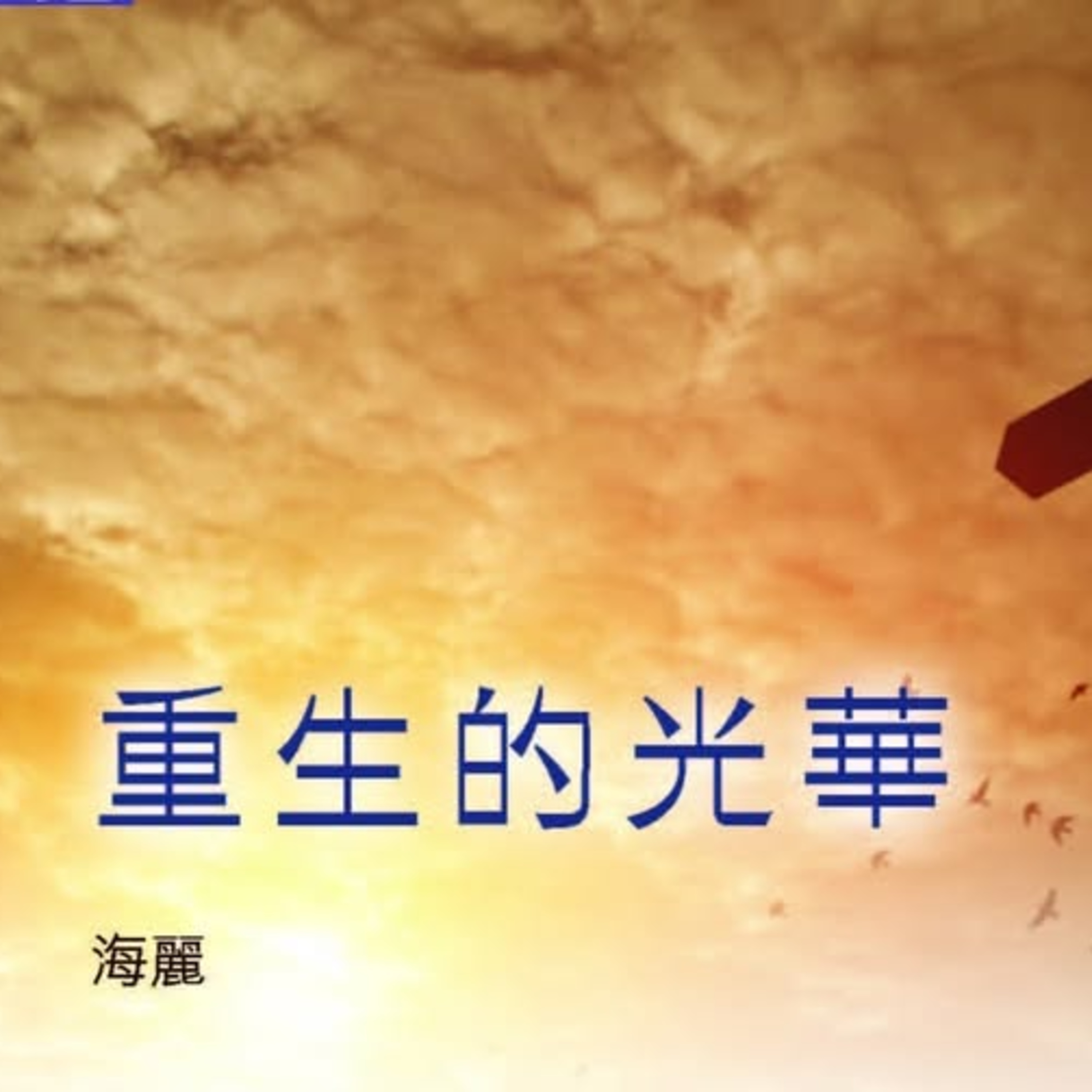 【中信點評】--重生的光華 episode artwork