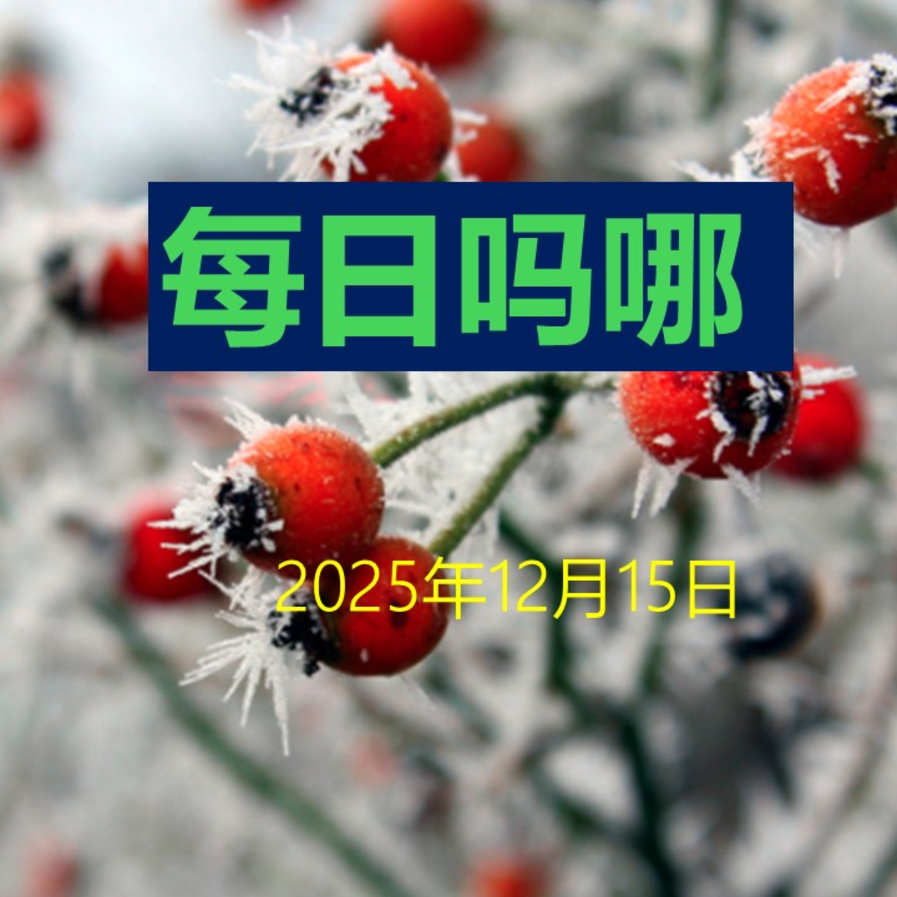 {每日吗哪}12月15日  为何行恶 episode artwork