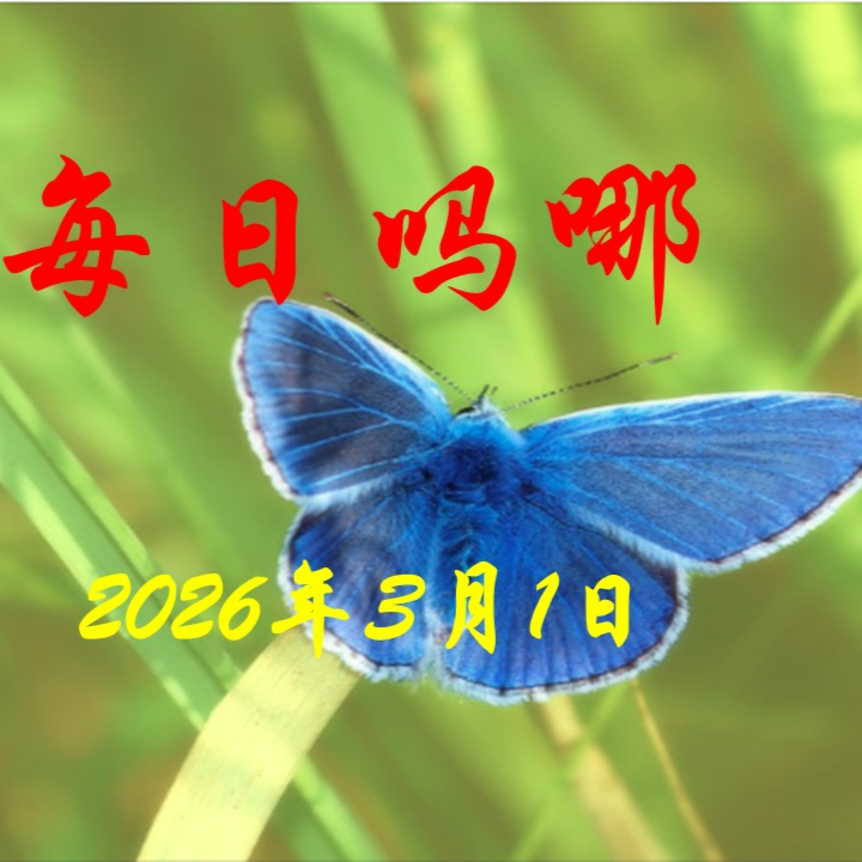 {每日吗哪}3月1日  蒙恩之后