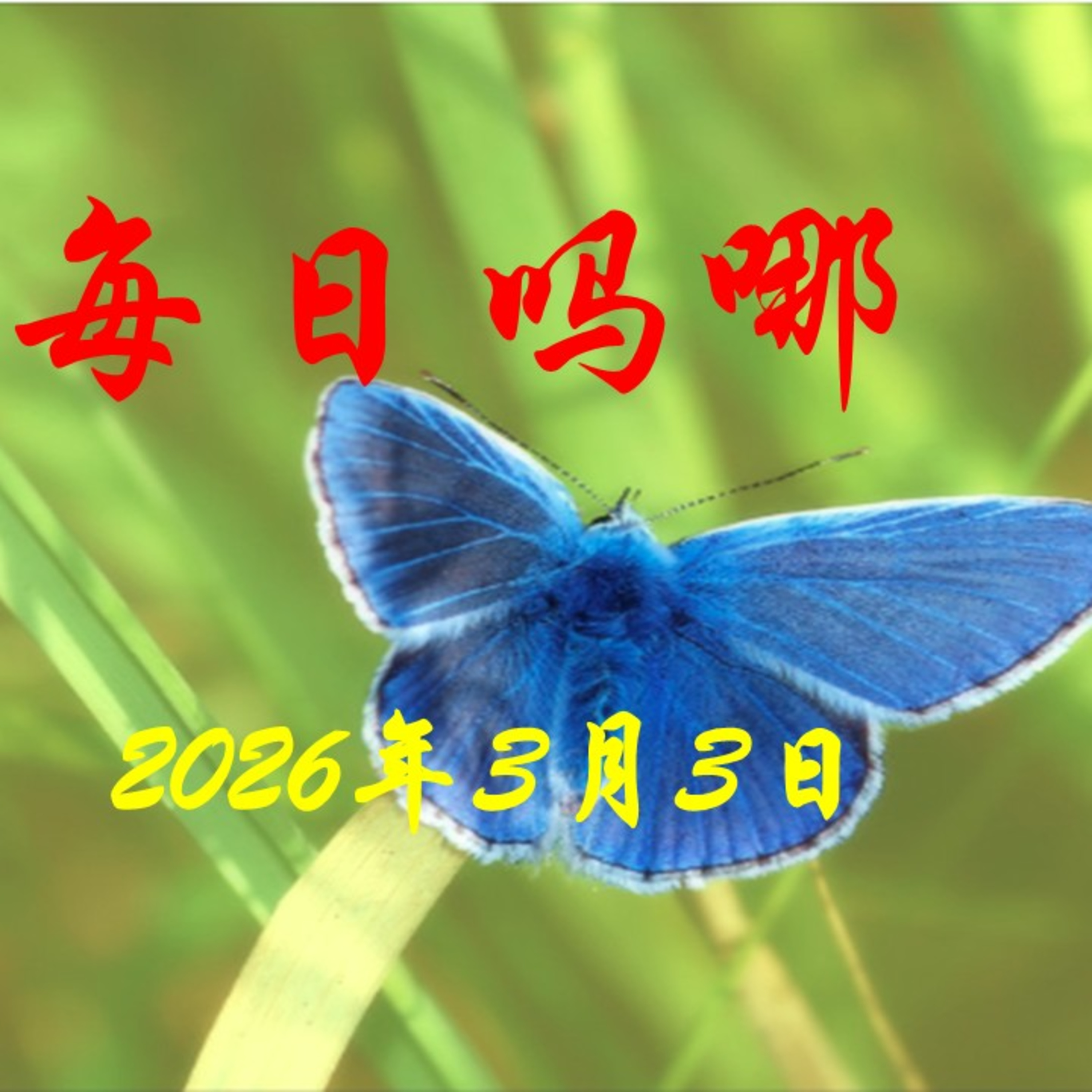 {每日吗哪}3月3日  美果 episode artwork
