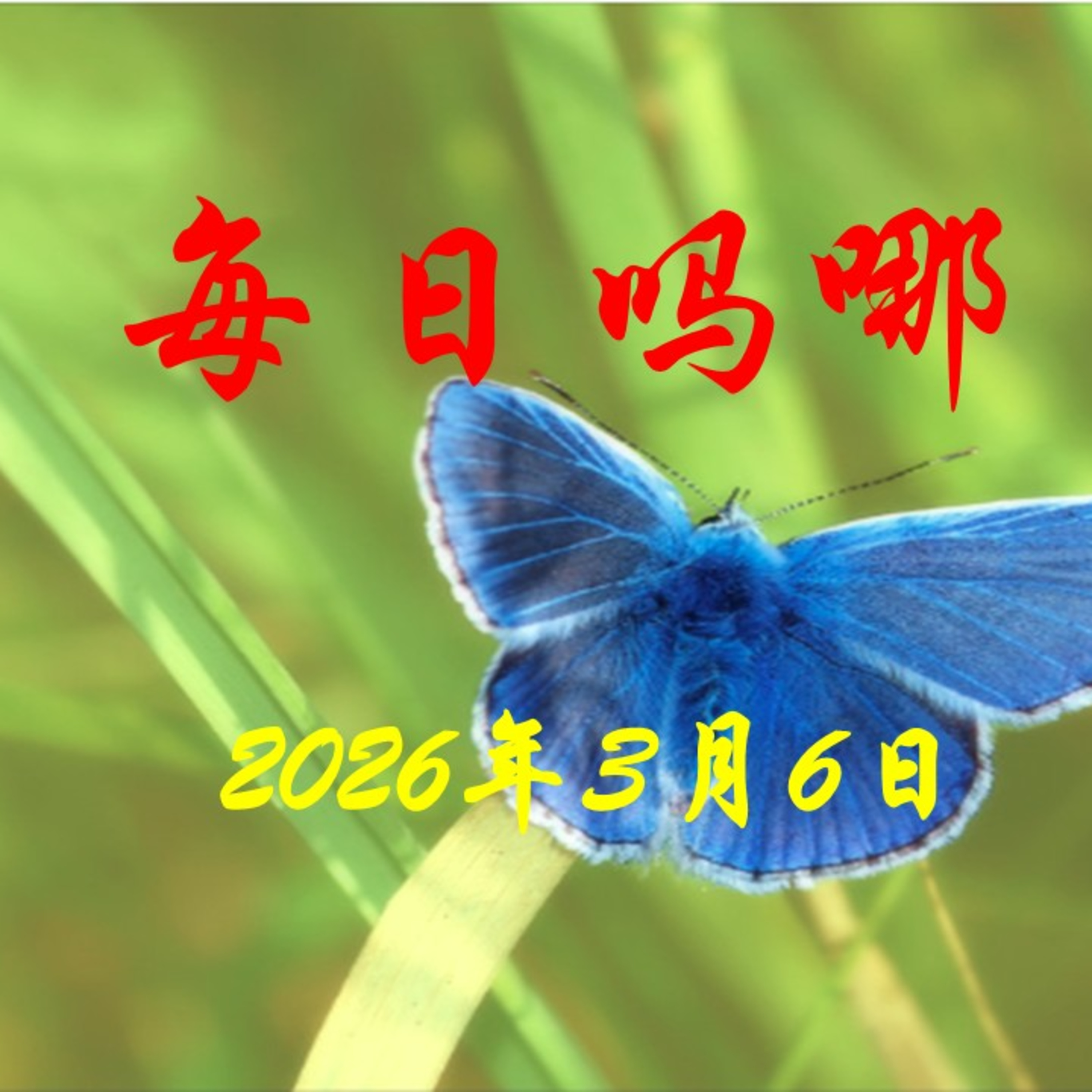 {每日吗哪}3月6日  乐为小花