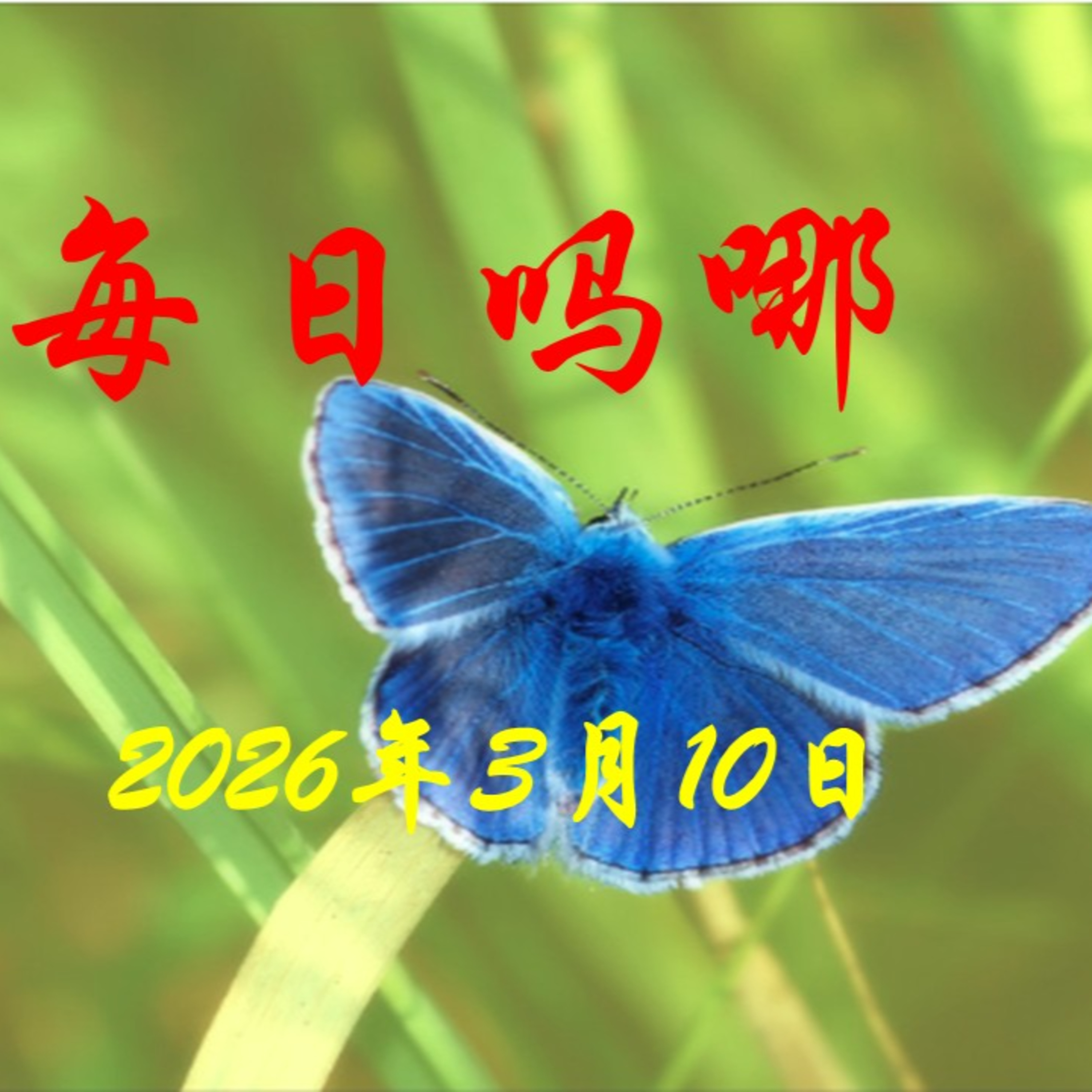 {每日吗哪}3月10日  活在神的同在中